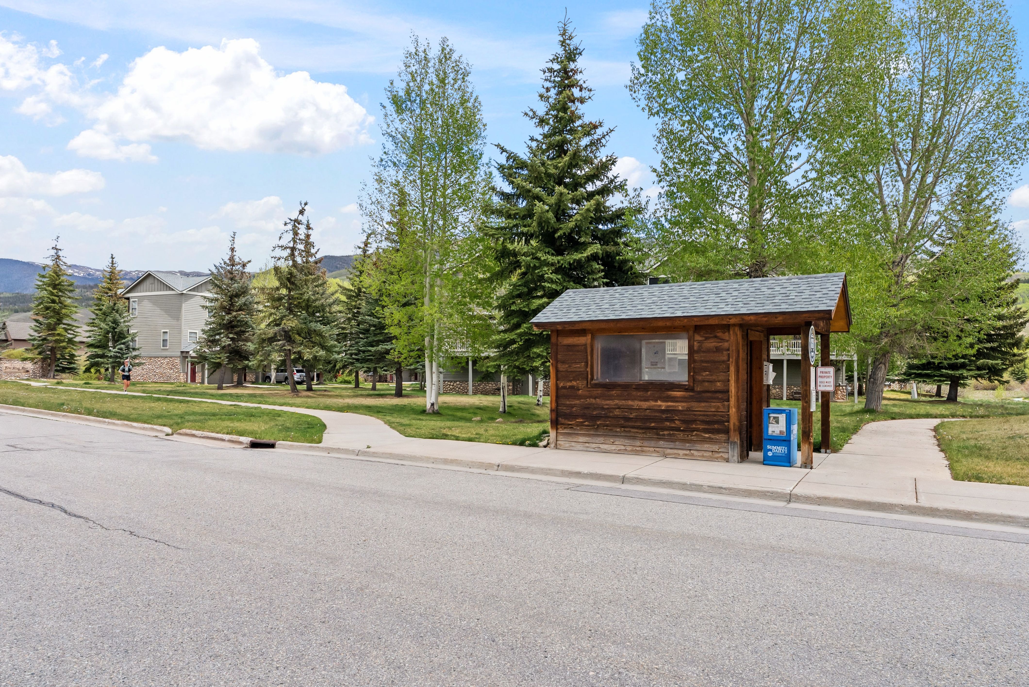  135 Creek Lane, Silverthorne, CO, 80498 - 物件實景