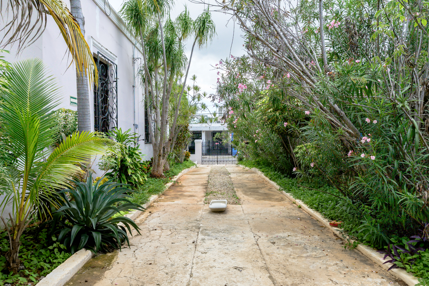  DOWNTOWN MERIDA HERITAGE RETREAT - 物件實景