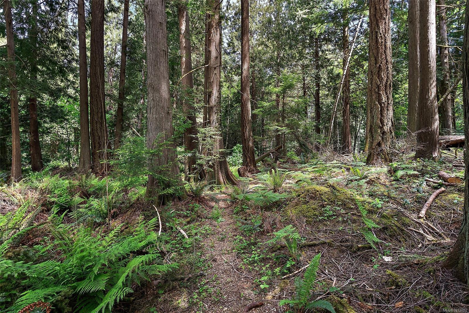 METCHOSIN, British Columbia, V9C 4C6, CA, ,Residential,For Sale,1947366
