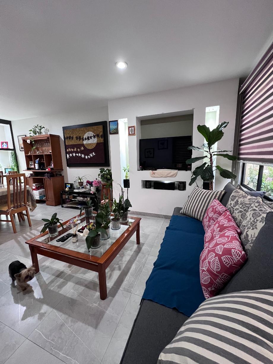 Coyoacán, Ciudad de México, 04960, Mexico, 3 Bedrooms Bedrooms, ,3 BathroomsBathrooms,Residential,For Sale,1925401