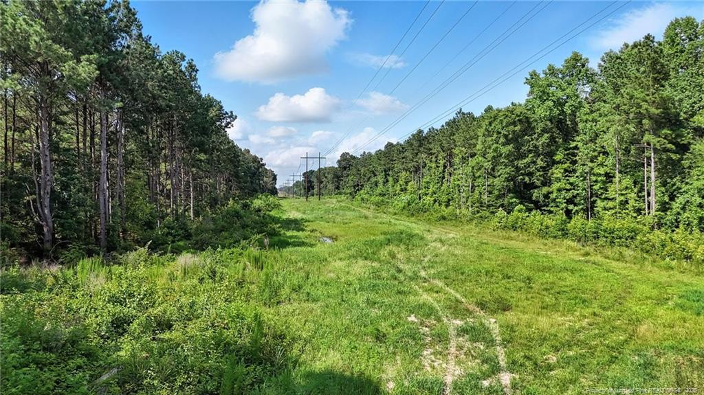 Wade, North Carolina, 28395, United States, ,Land,For Sale,1891652
