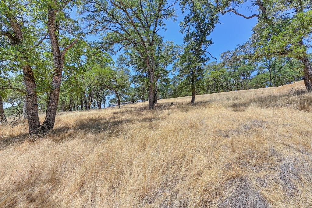El Dorado Hills, California, 95762, United States, ,Land,For Sale,1993399