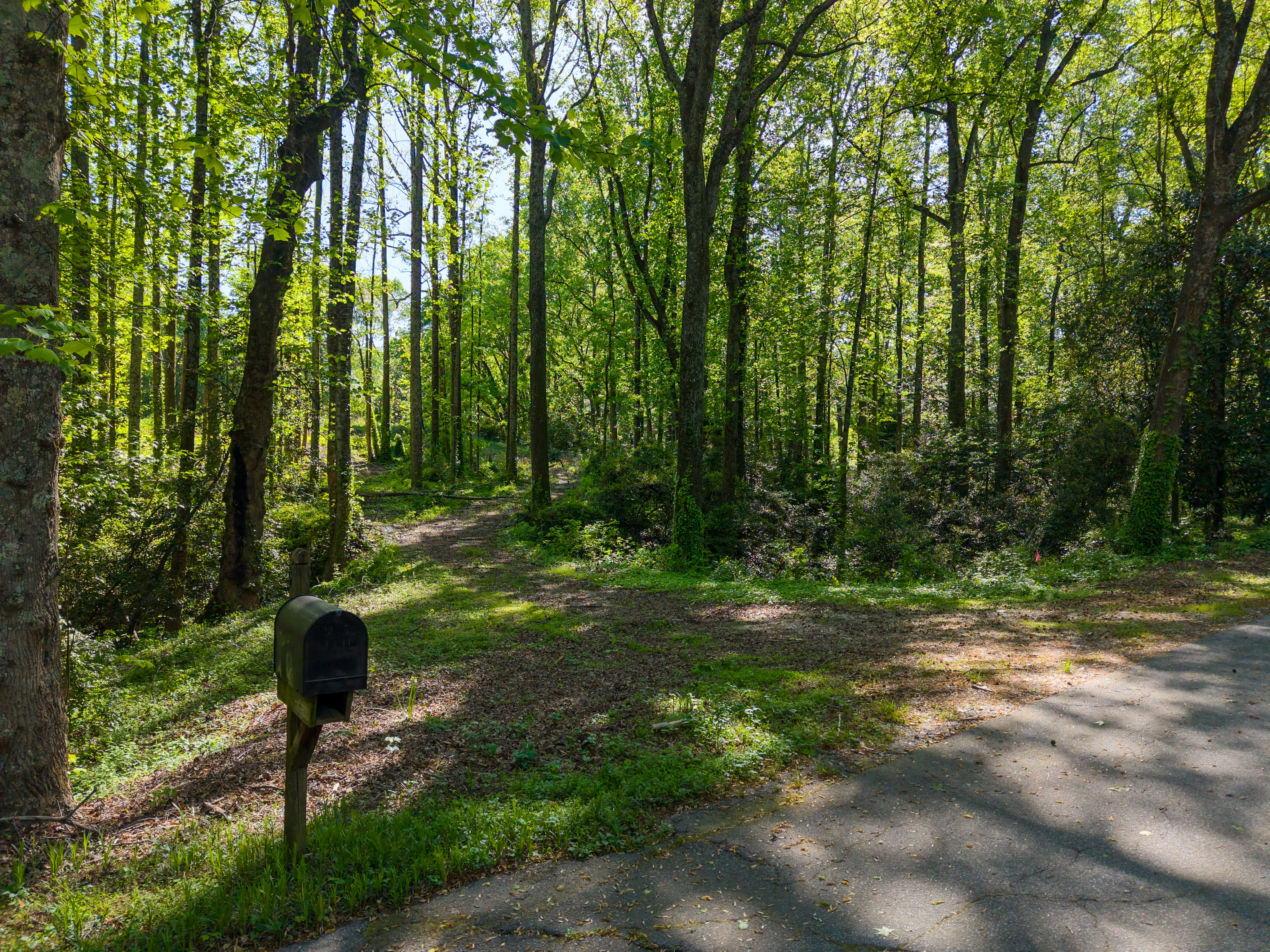  6 Stratton Place, Greenville, SC 29615 - 物件實景