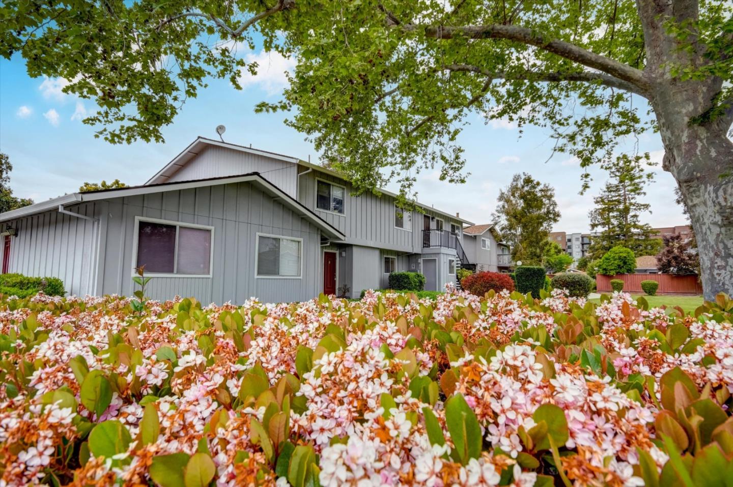 Sunnyvale, California, 94086, United States, 3 Bedrooms Bedrooms, ,2 BathroomsBathrooms,Residential,For Sale,1847517