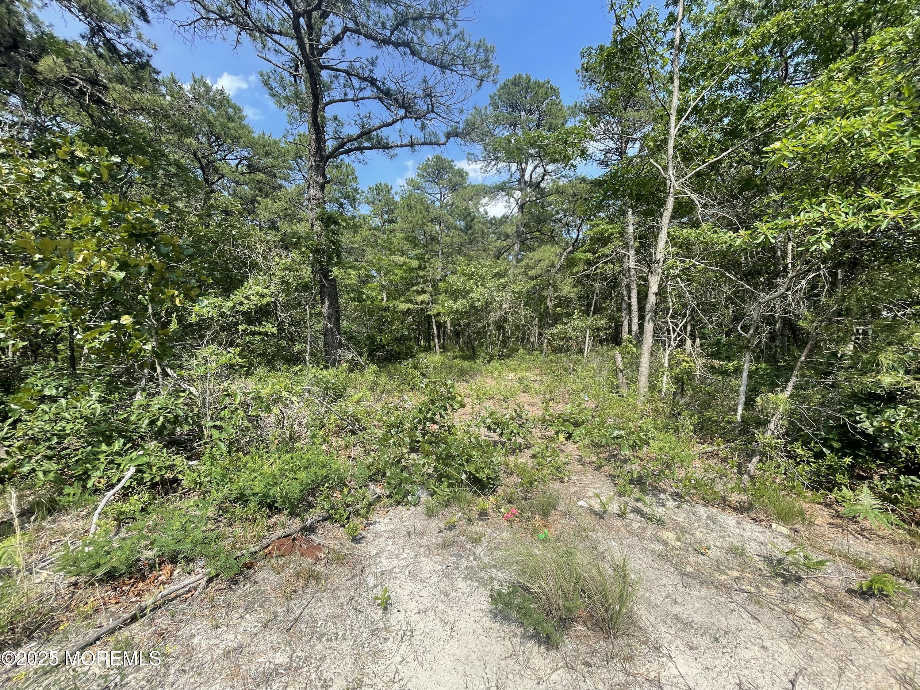 Little Egg Harbor, New Jersey, 08087, United States, ,Land,For Sale,1983965