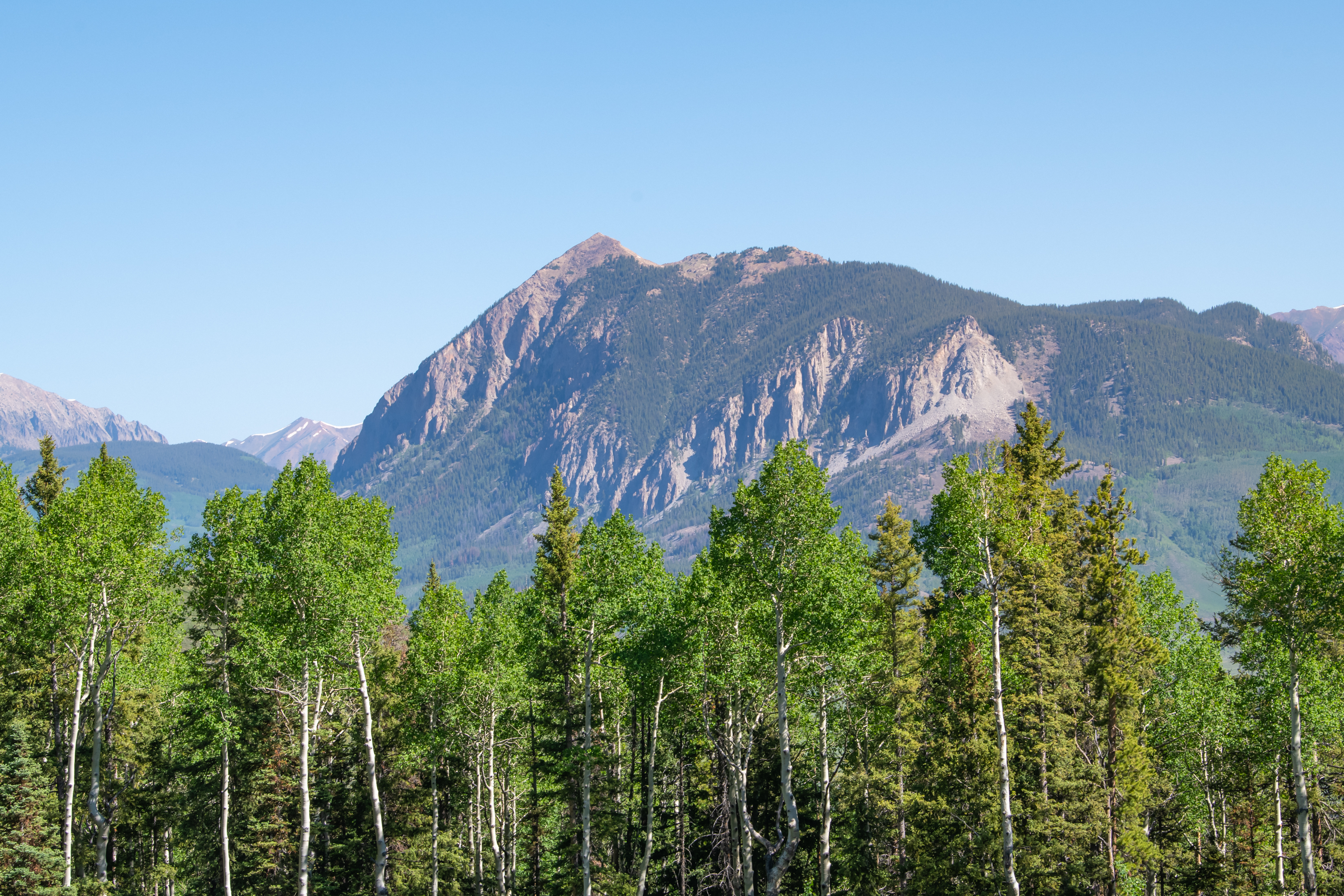  141 White Buffalo Trail, Crested Butte, CO, 81224 - 物件實景