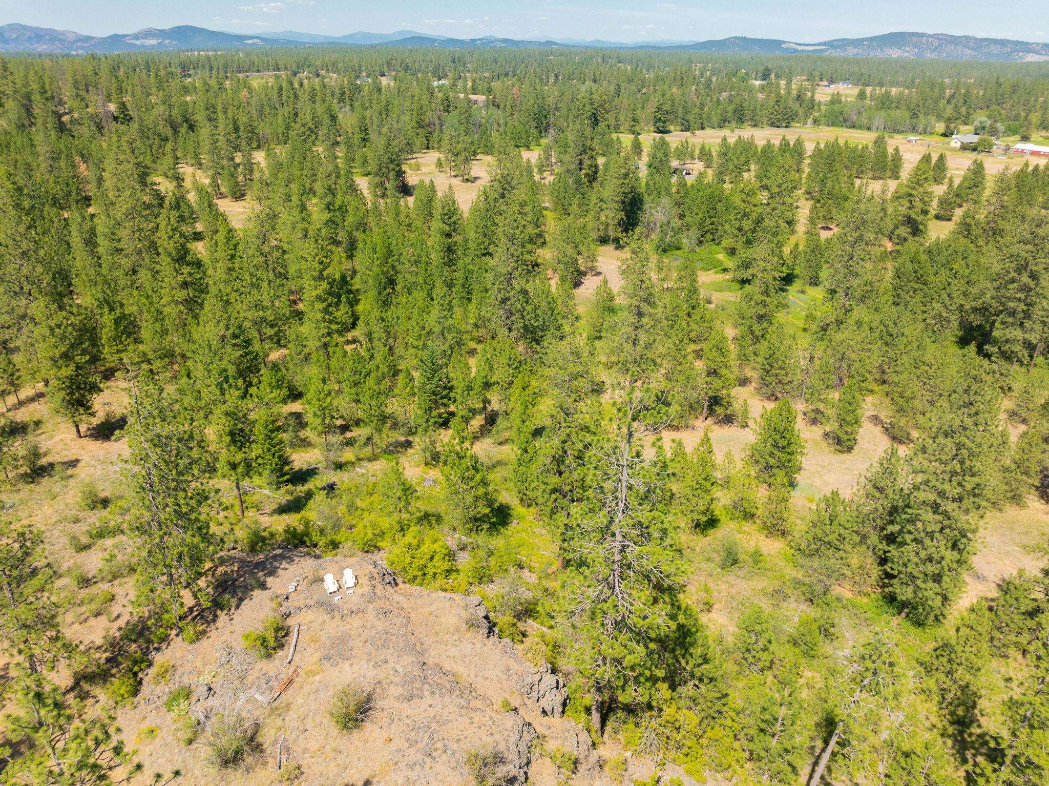 Nine Mile Falls, Washington, 99026, United States, ,Land,For Sale,1960887