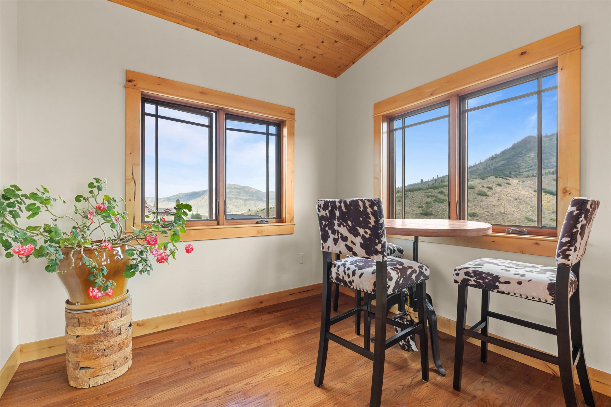  23020 Lynx Basin Lane, Oak Creek, CO 80467 - 物件實景