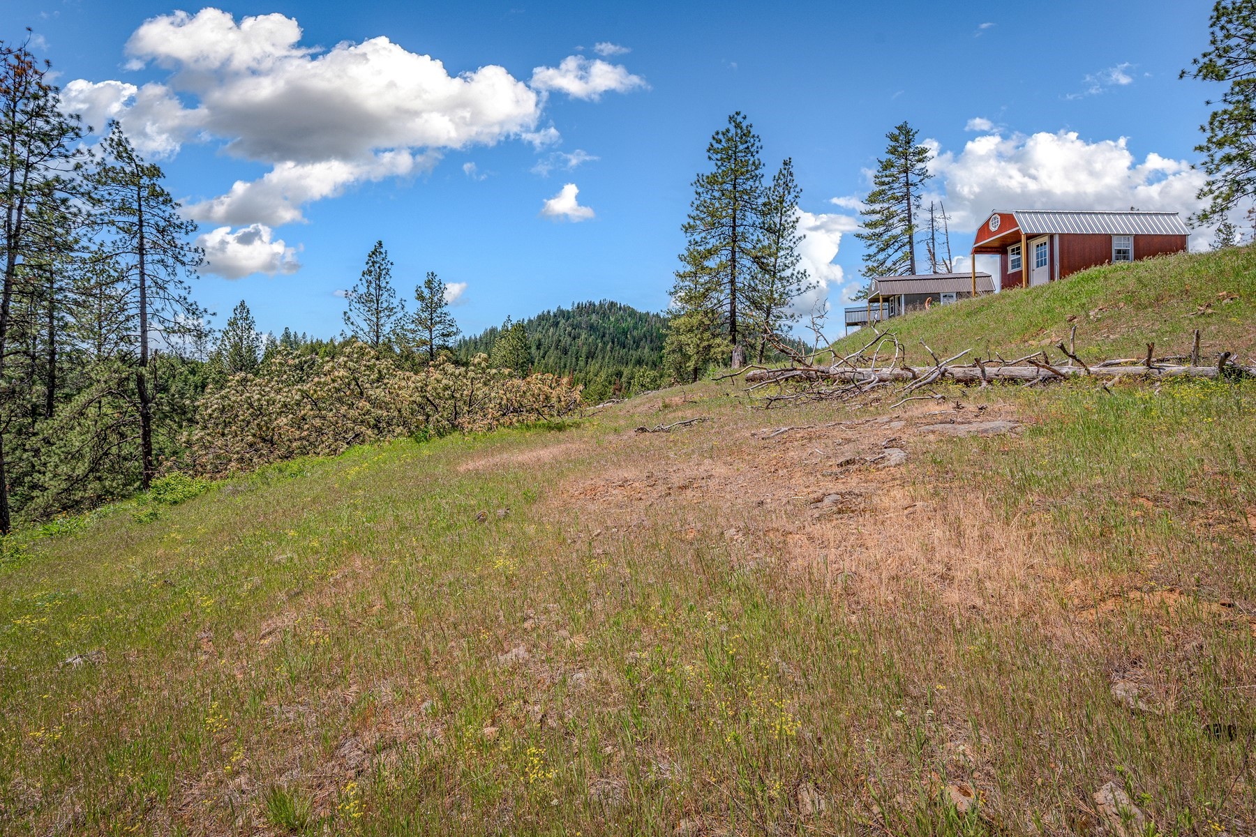  Cabins on 17ac. Surrounded by Lumber Land - 物件實景