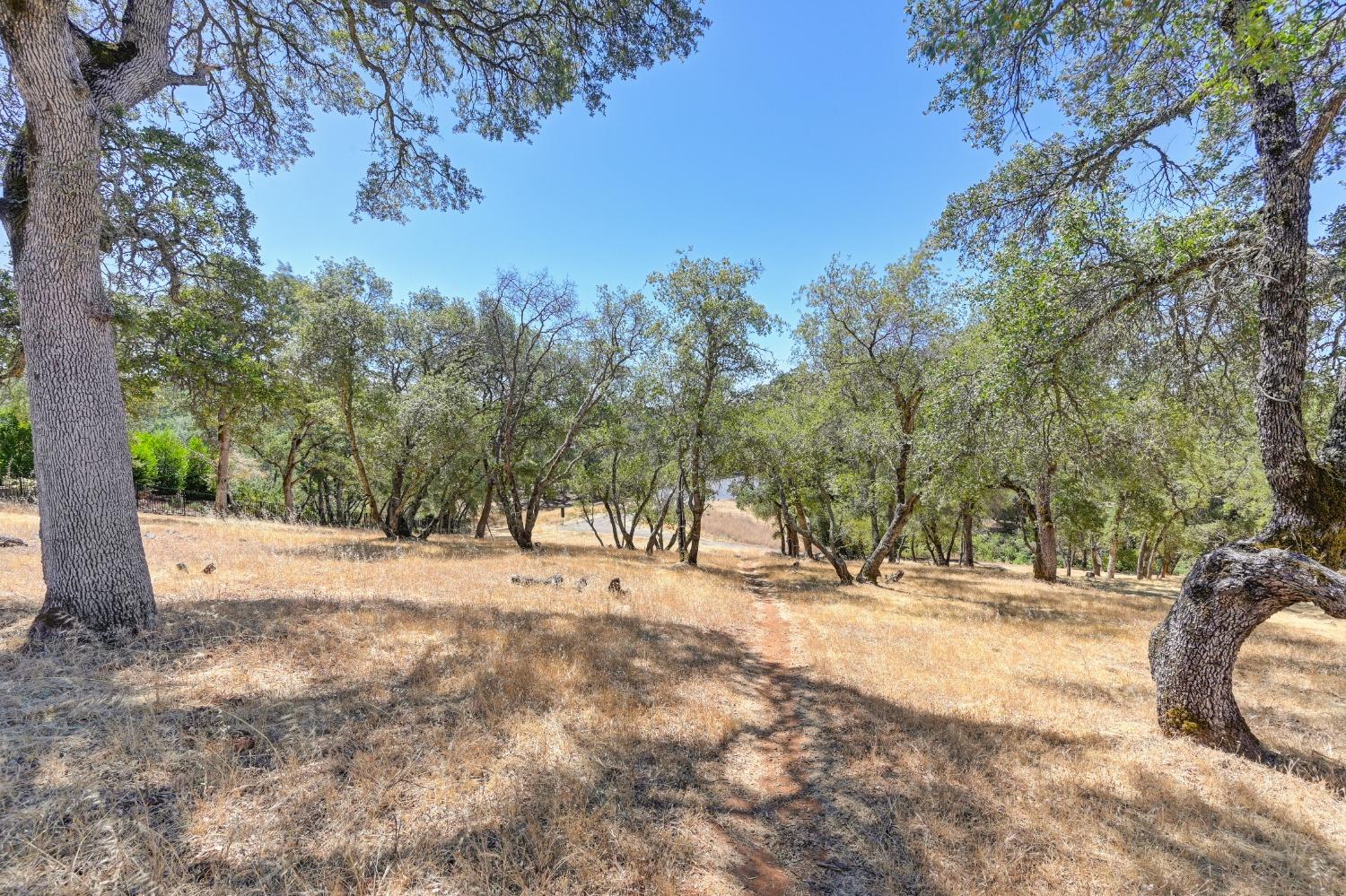 5211 Da Vinci Drive, El Dorado Hills, California, 95762, United States, ,Land,For Sale,5211 Da Vinci Drive,1573000