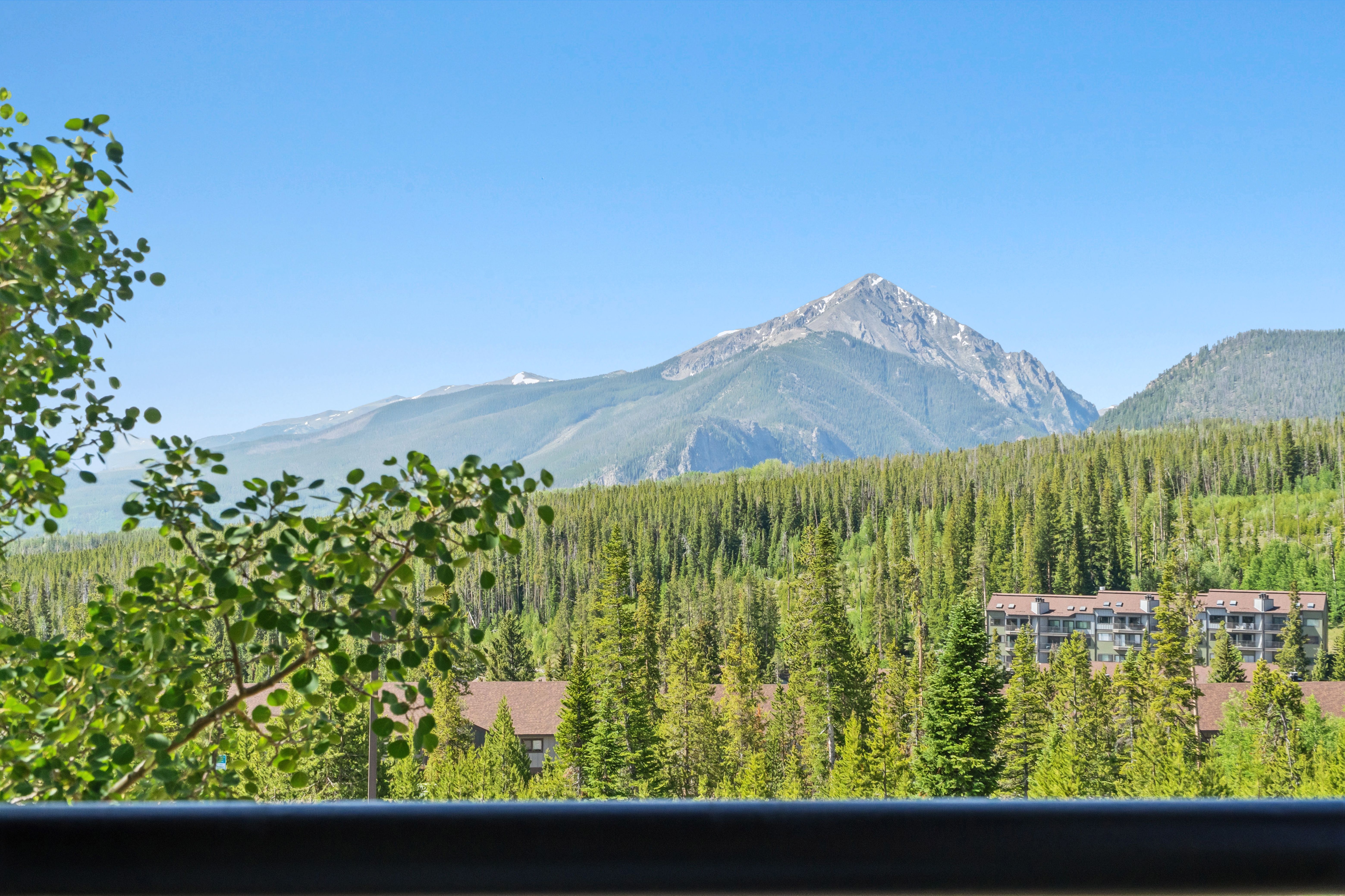  91200 Ryan Gulch Road, Silverthorne, CO, 80498 - 物件實景