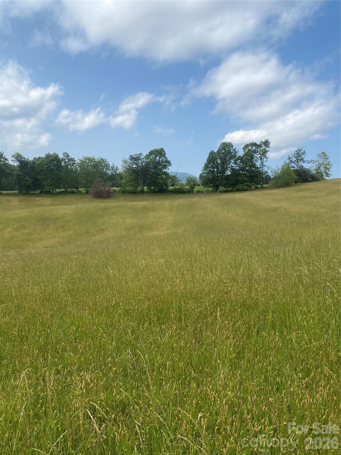 Hendersonville, North Carolina, 28792, United States, ,Land,For Sale,2010421