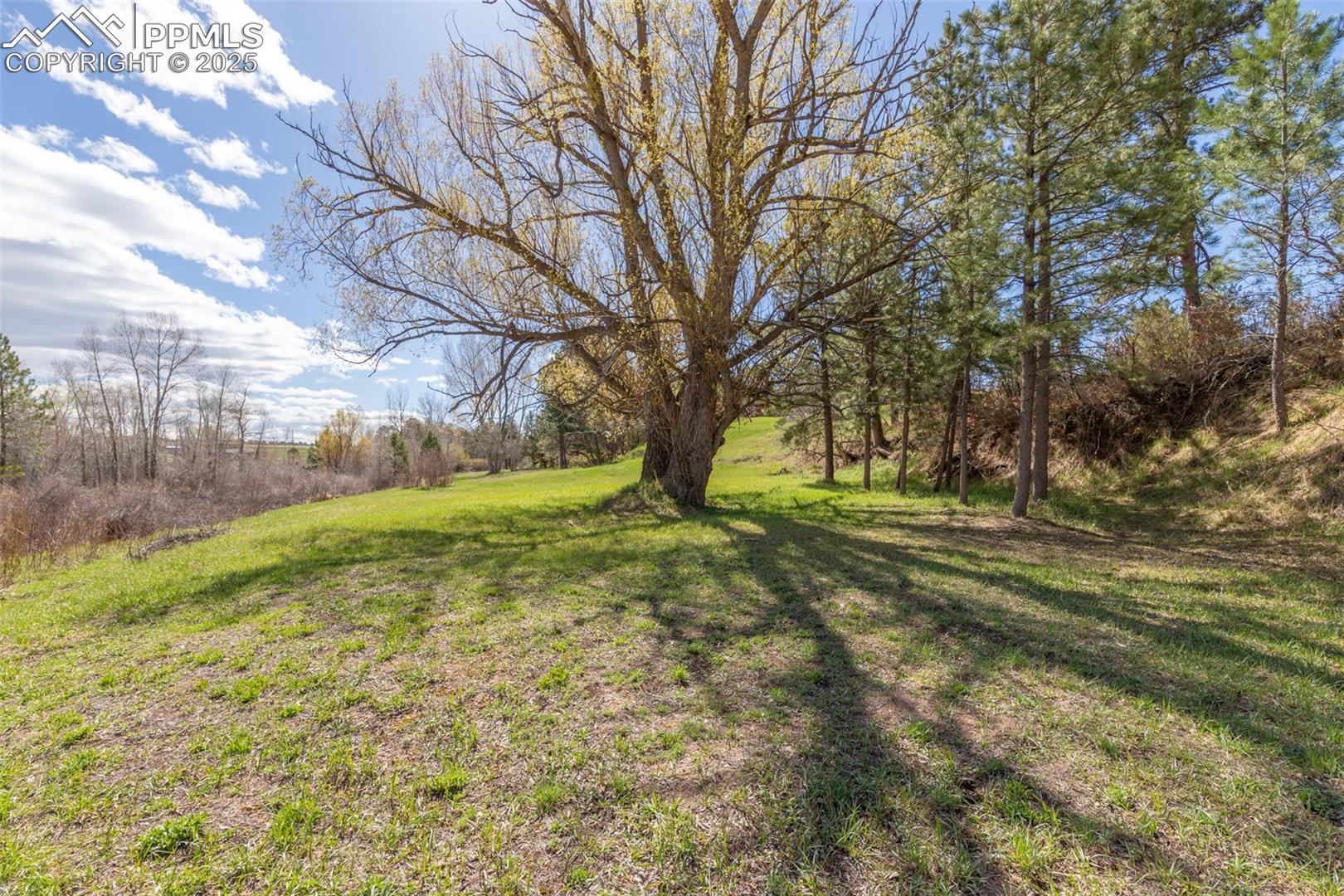 Monument, Colorado, 80132, United States, 4 Bedrooms Bedrooms, ,3 BathroomsBathrooms,Residential,For Sale,1930113