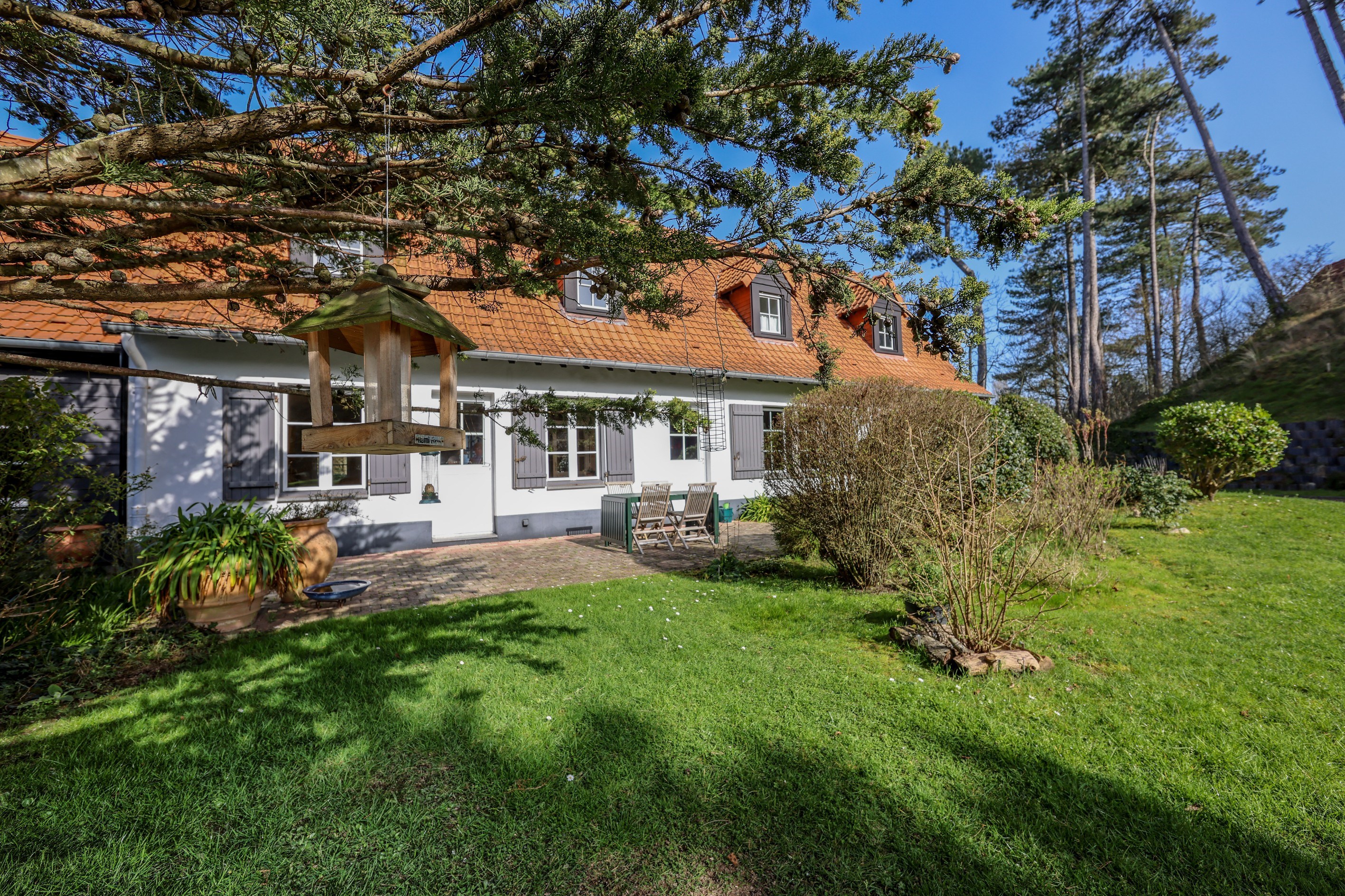  Hardelot: villa between forest and sea - 物件實景
