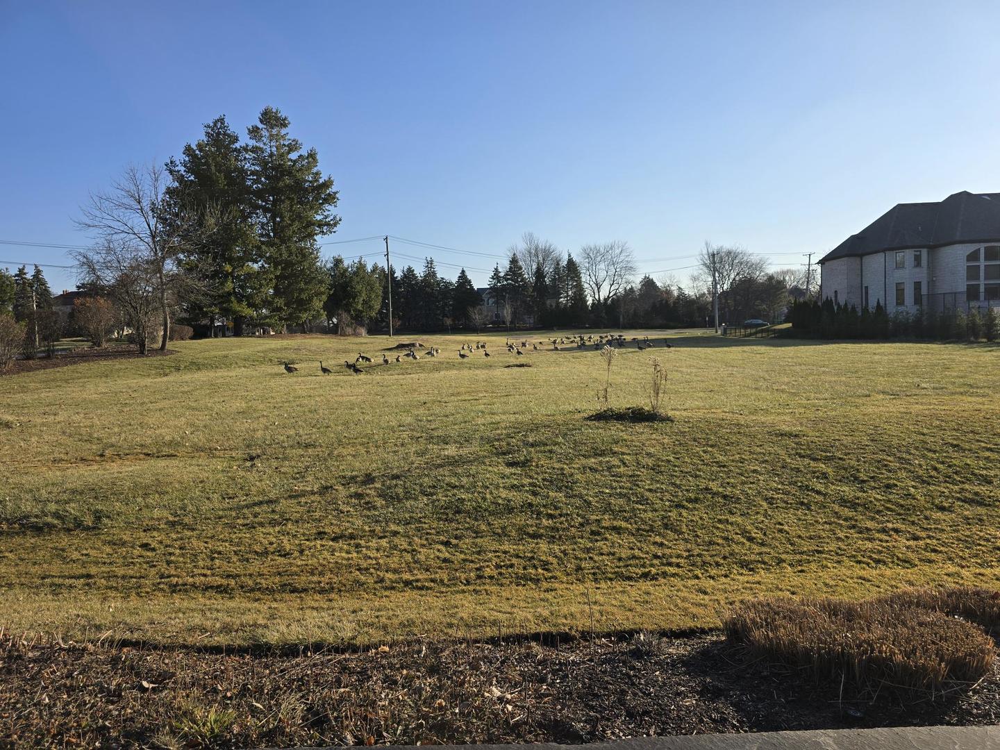 Oak Brook, Illinois, 60523, United States, ,Land,For Sale,1974403