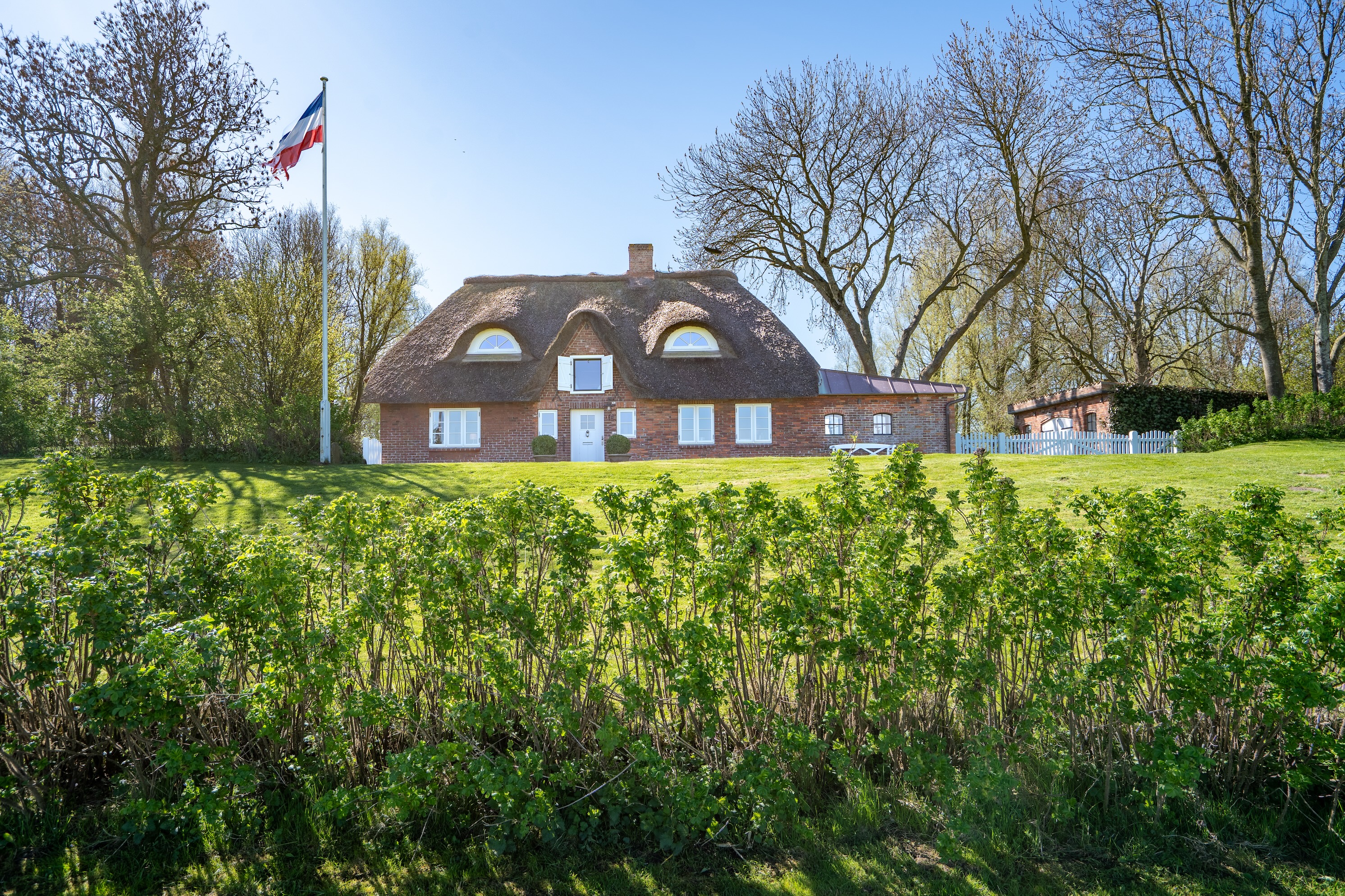  Reetdach  Ruhe  Weitblick - Reetdachanwesen am Porrendeich - 物件實景