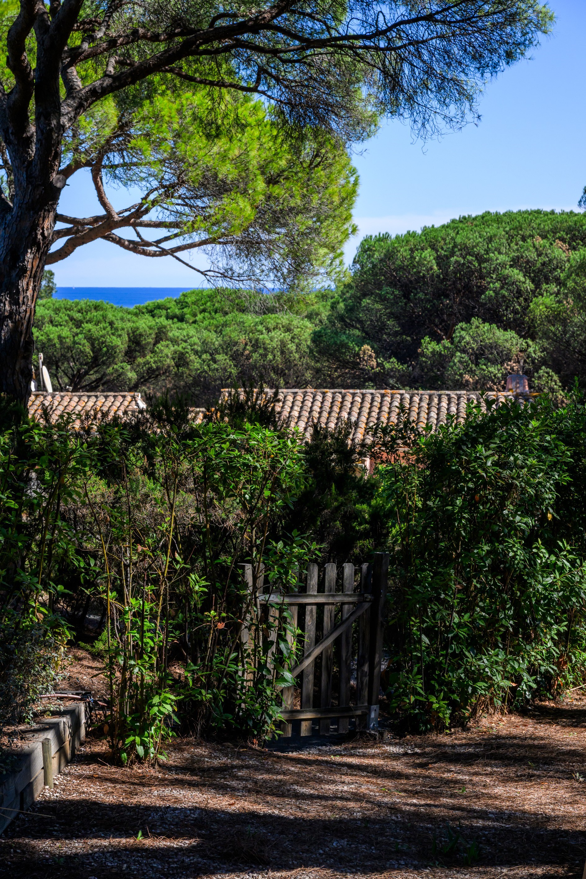 Exclusive house in Saint-Tropez, close to Pampelonne beaches, secure residence - 物件實景
