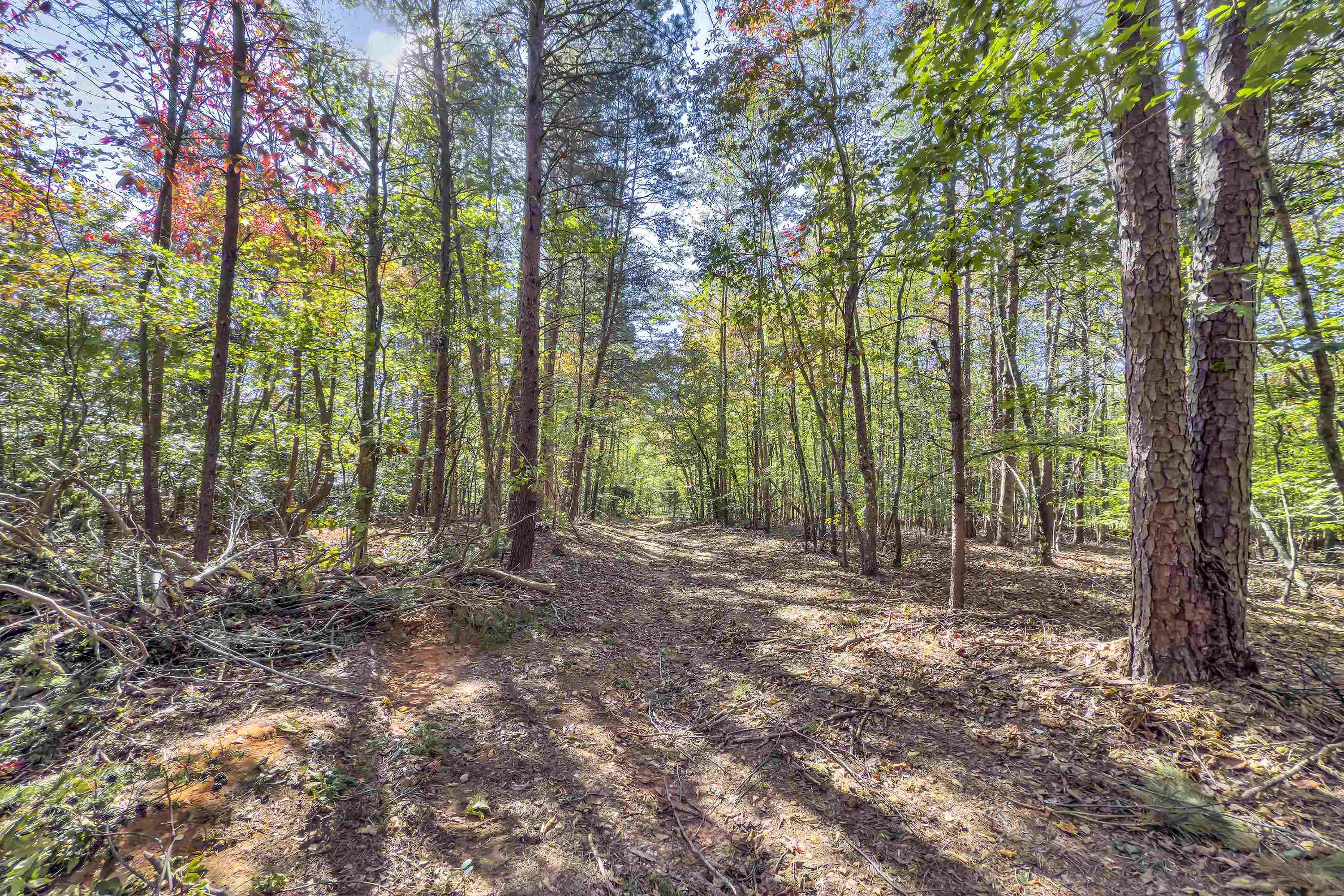 Old Converse Road, Spartanburg, South Carolina, 29301, United States, ,Land,For Sale,Old Converse Road,1646994
