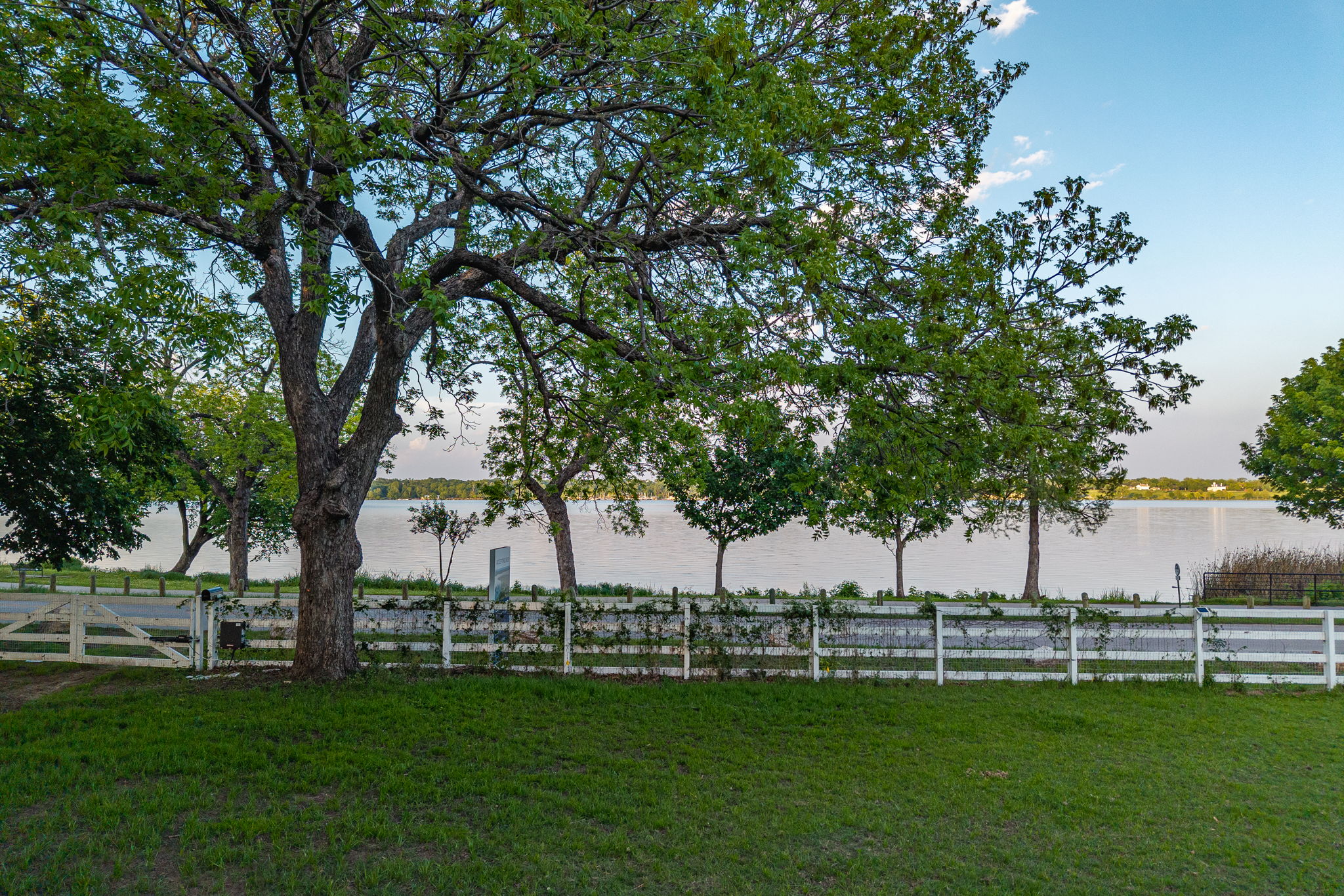  2.2 Acres Overlooking White Rock Lake - 物件實景