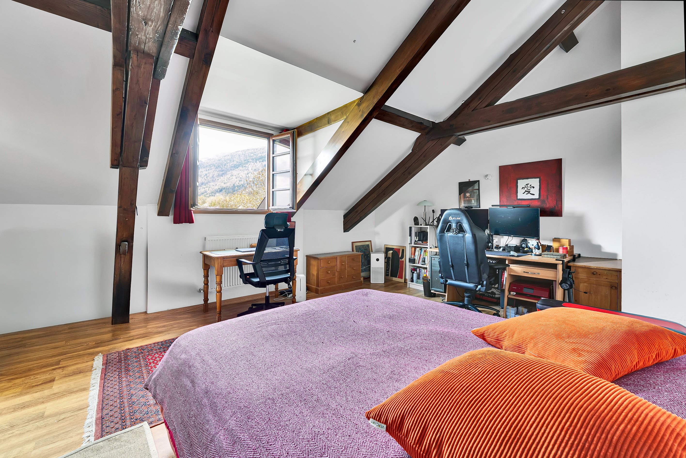  Stunning townhouse located in the center of Gex - 物件實景