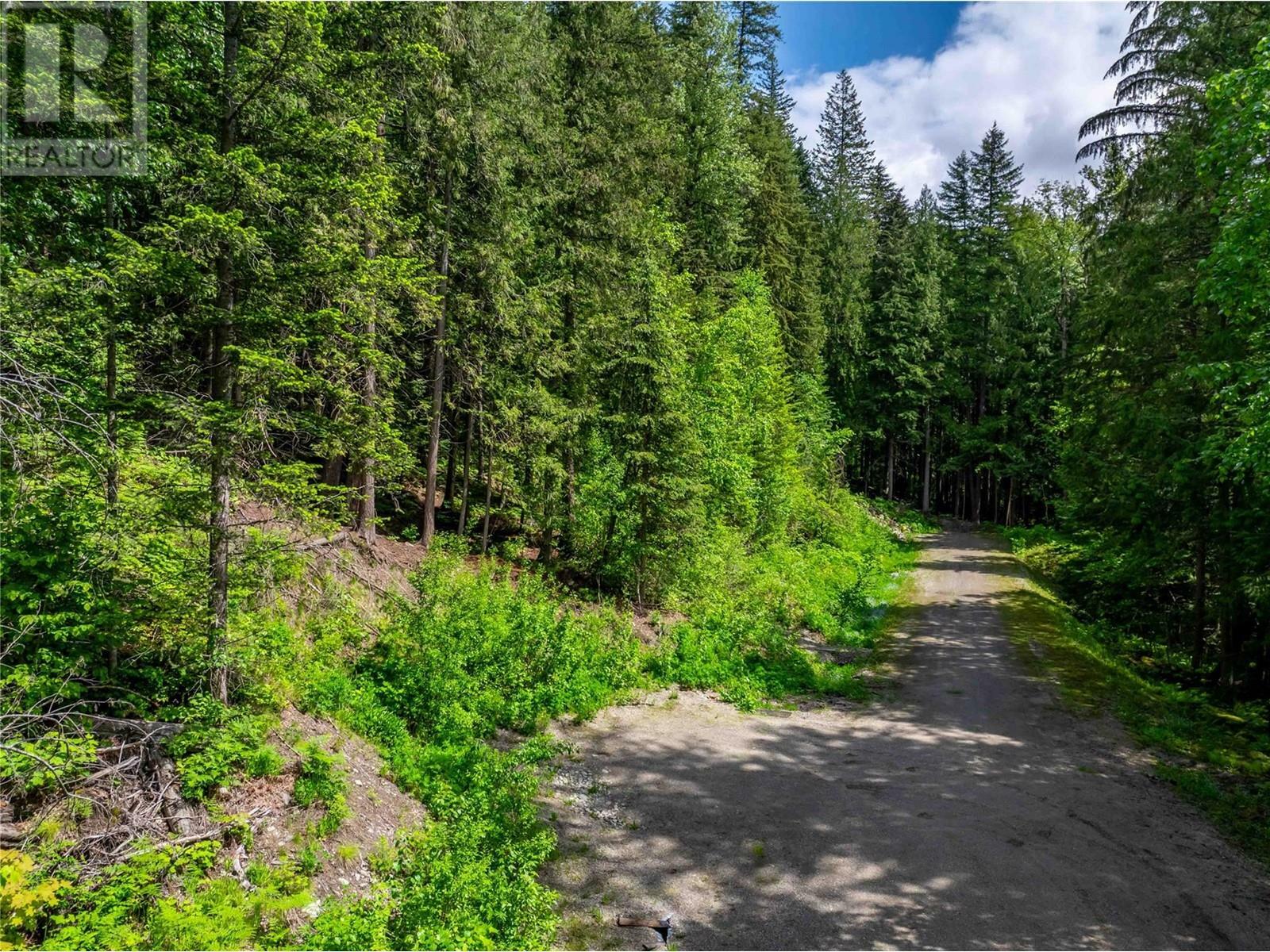 REVELSTOKE, British Columbia, V0E 2S0, CA, ,Residential,For Sale,1838541