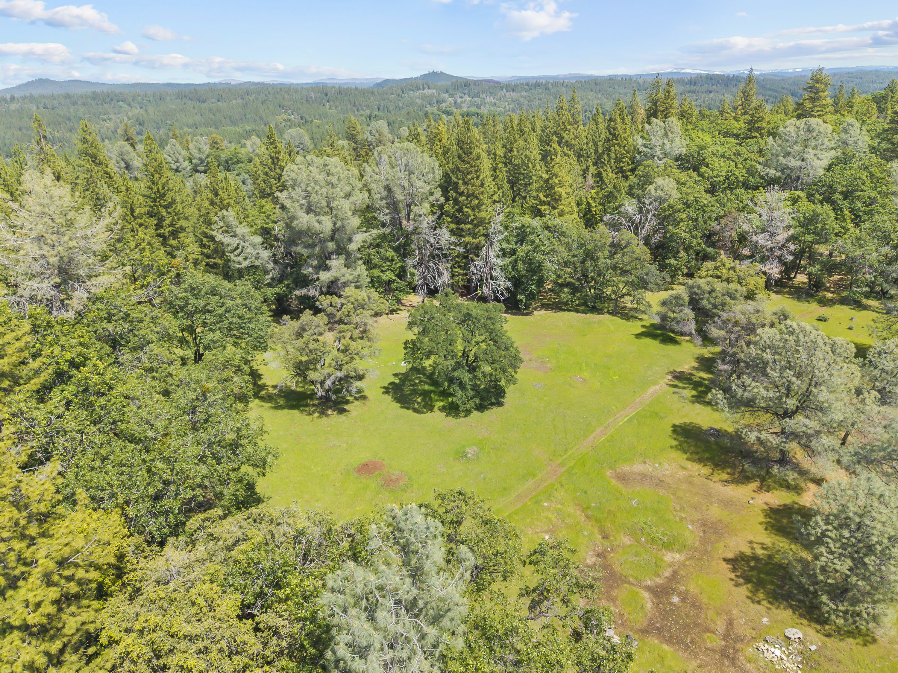  21 Acres - Gated - Renovated - 物件實景