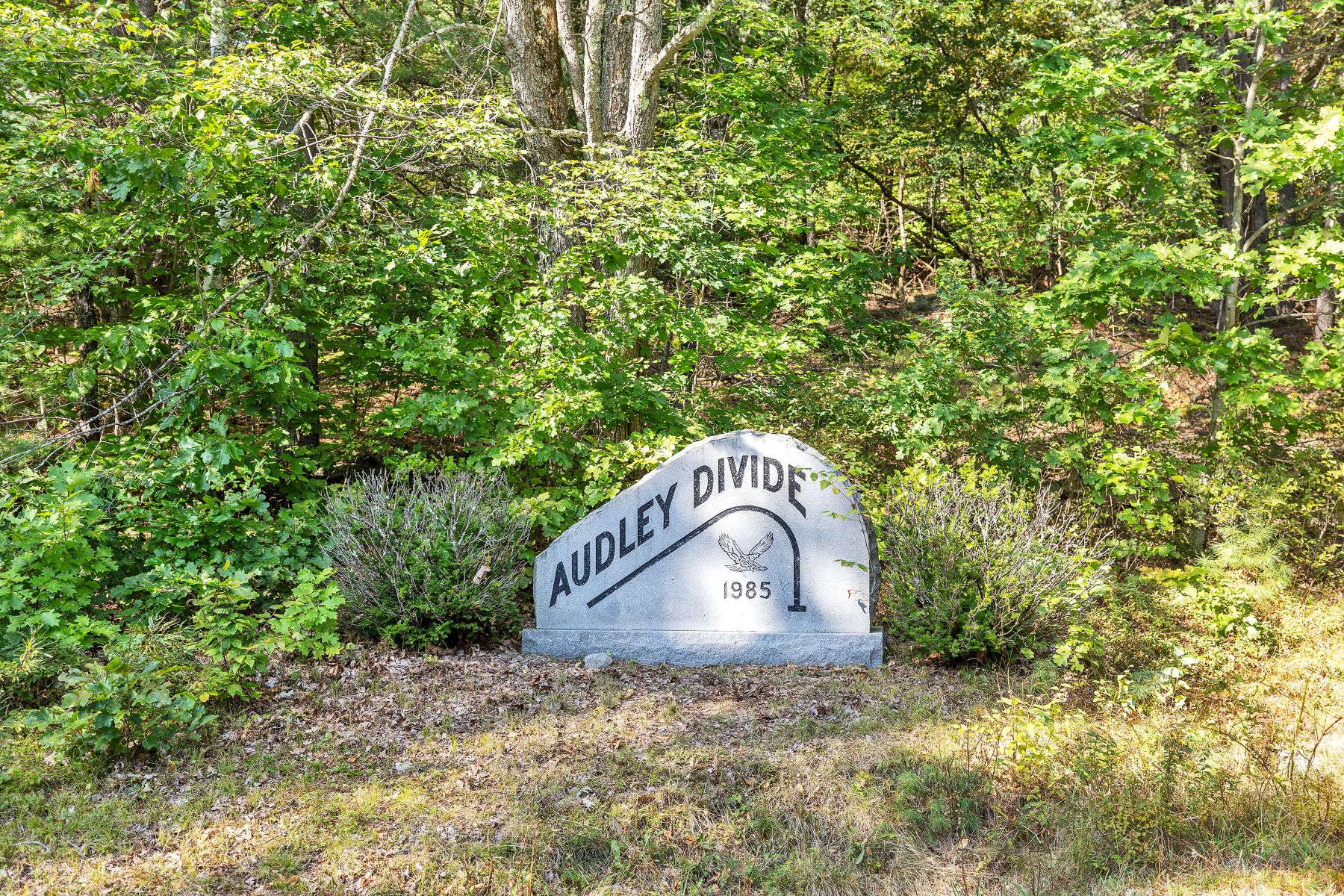  9 Audley Divide - 物件實景