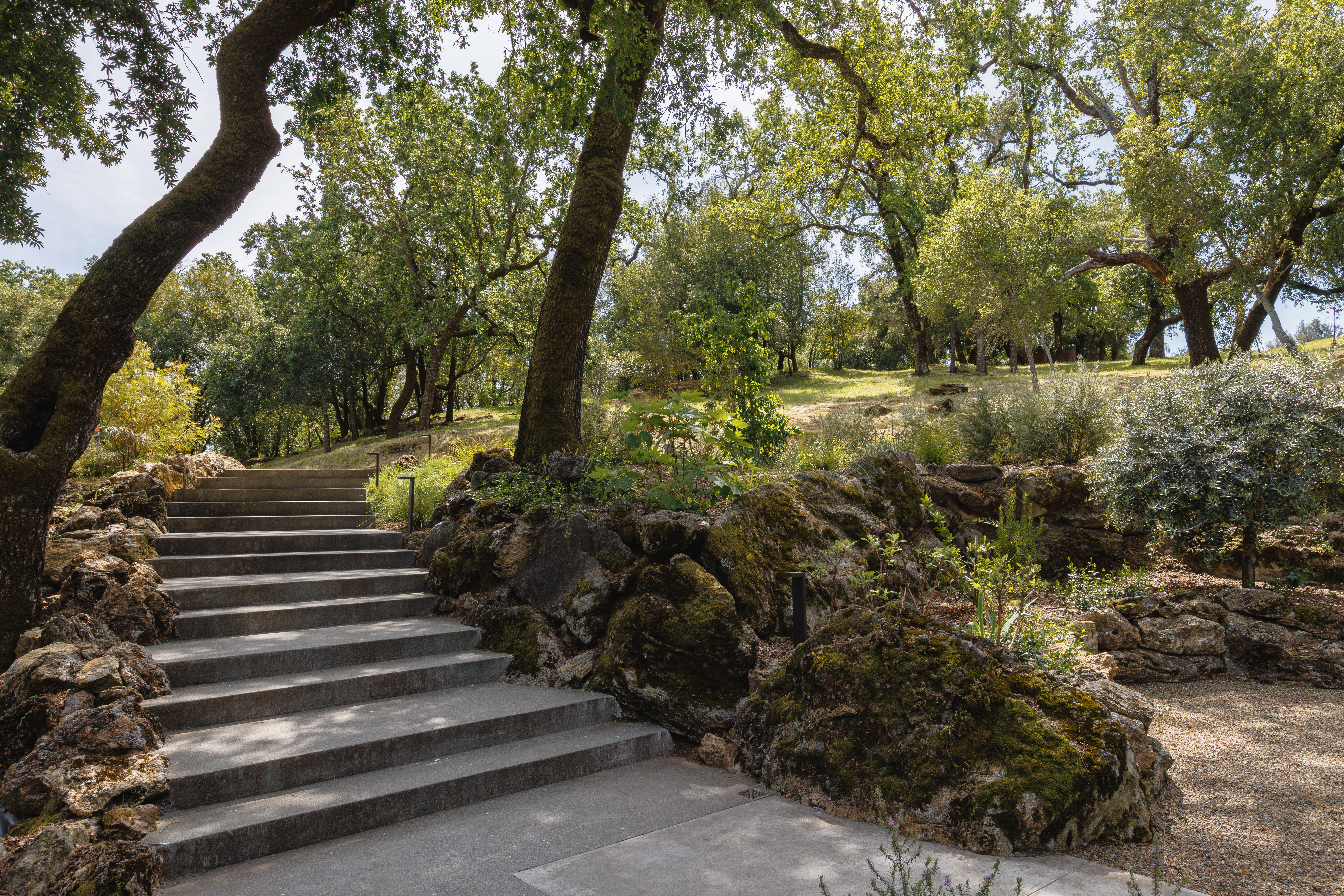  6225 West Soda Rock Lane, Healdsburg, CA 95448 - 物件實景