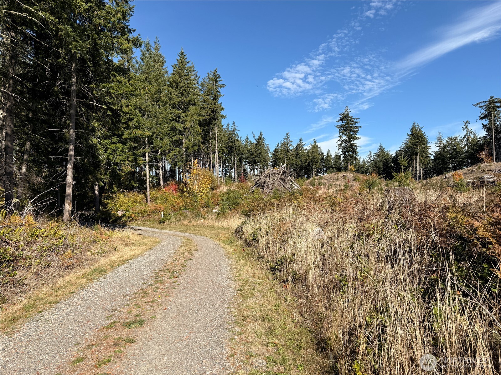 Rainier, Washington, 98576, United States, ,Land,For Sale,1998419