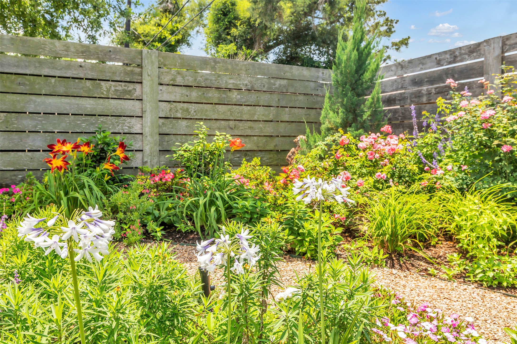  1819 Mill Creek Drive - 物件實景