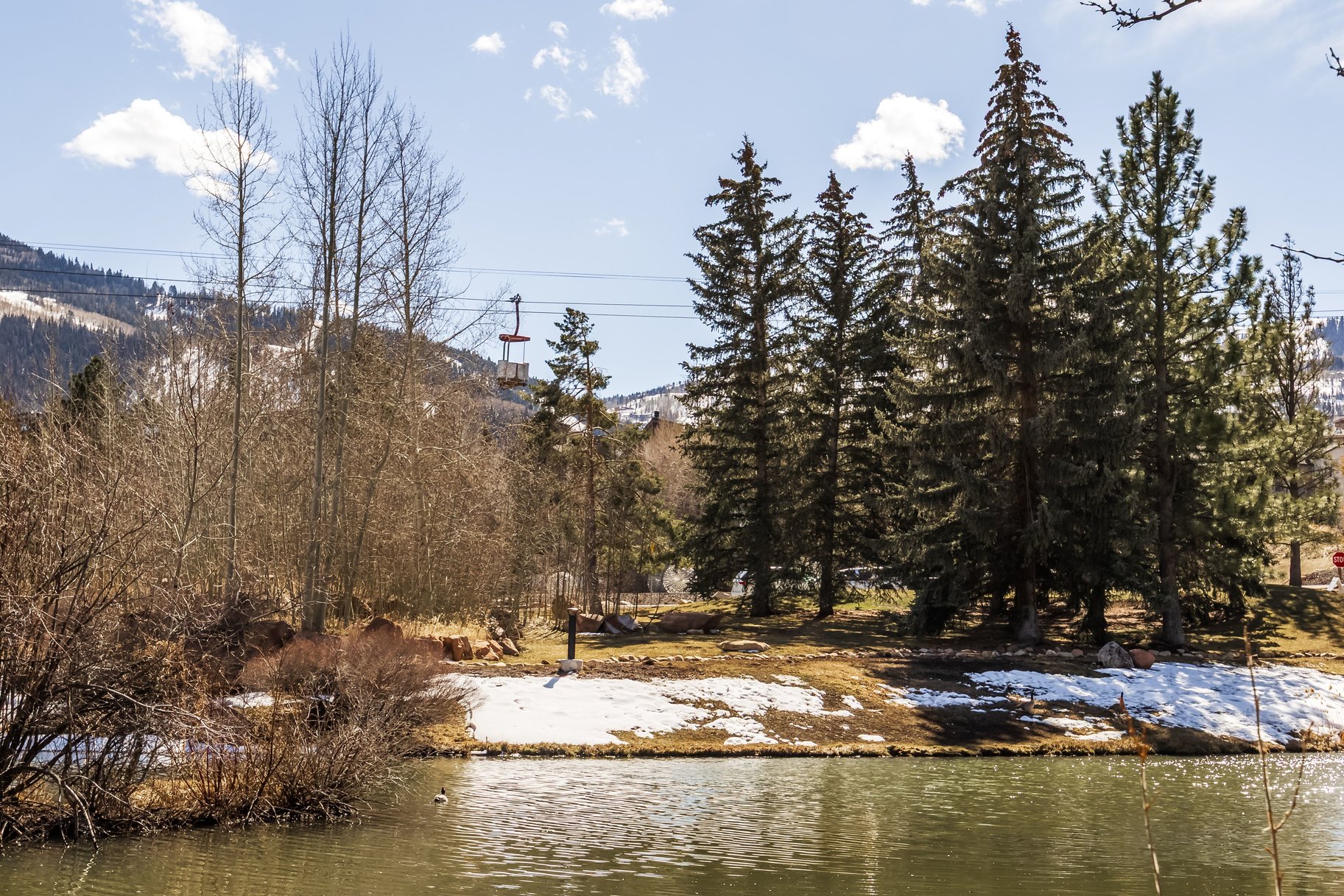  Hidden Gem Alert. Pond-Front. Turnkey. Income-Ready - 物件實景
