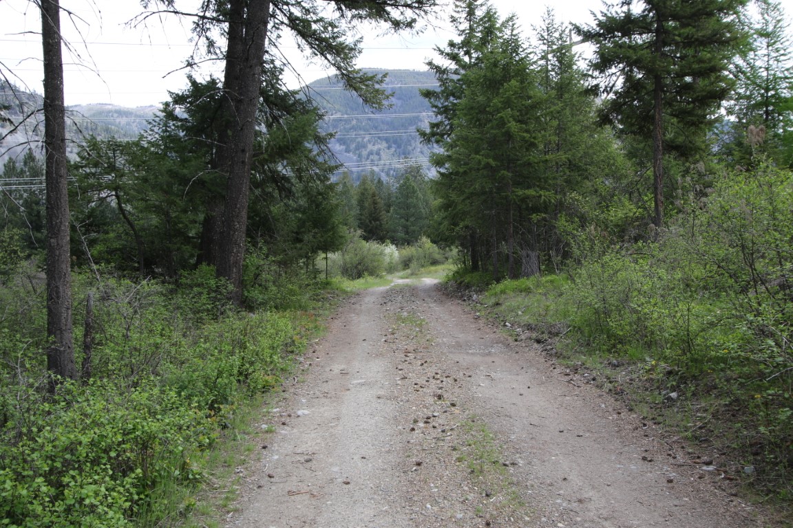 Plains, Montana, 59859, United States, ,Residential,For Sale,1921183