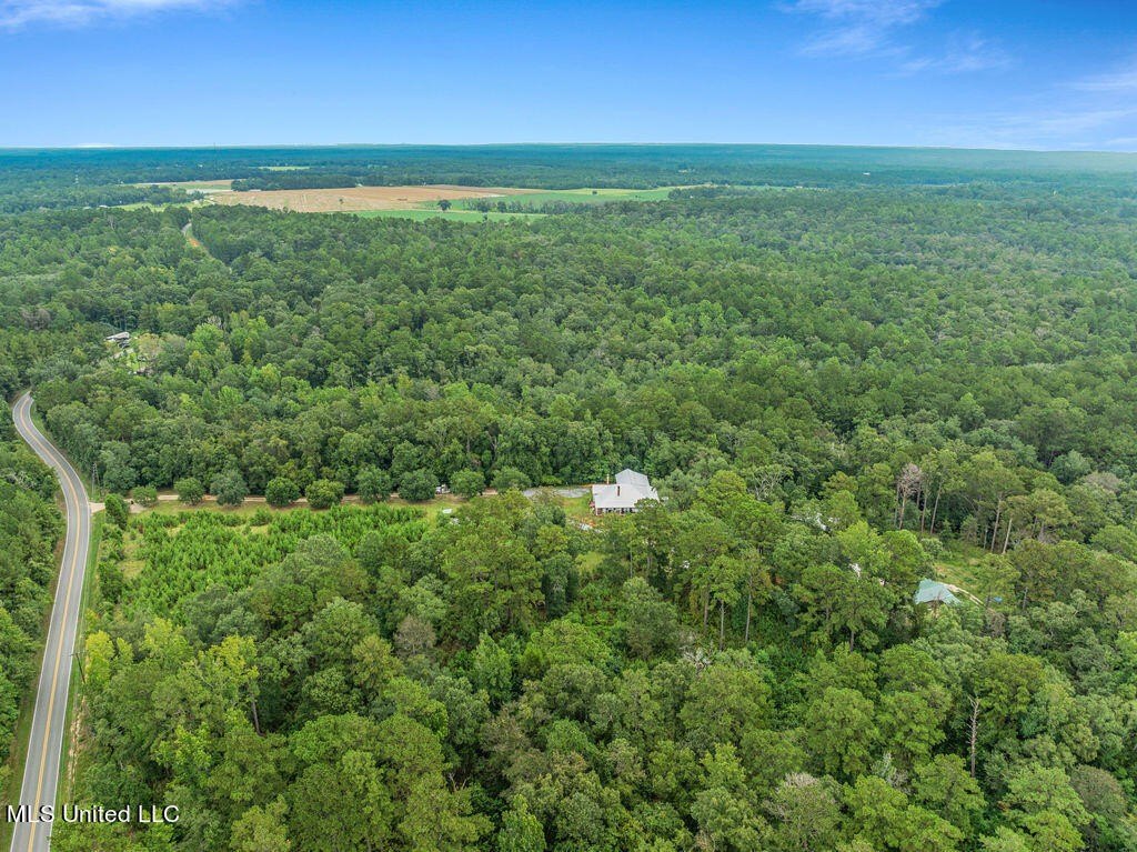 Lucedale, Mississippi, 39452, United States, 3 Bedrooms Bedrooms, ,3 BathroomsBathrooms,Residential,For Sale,1975662
