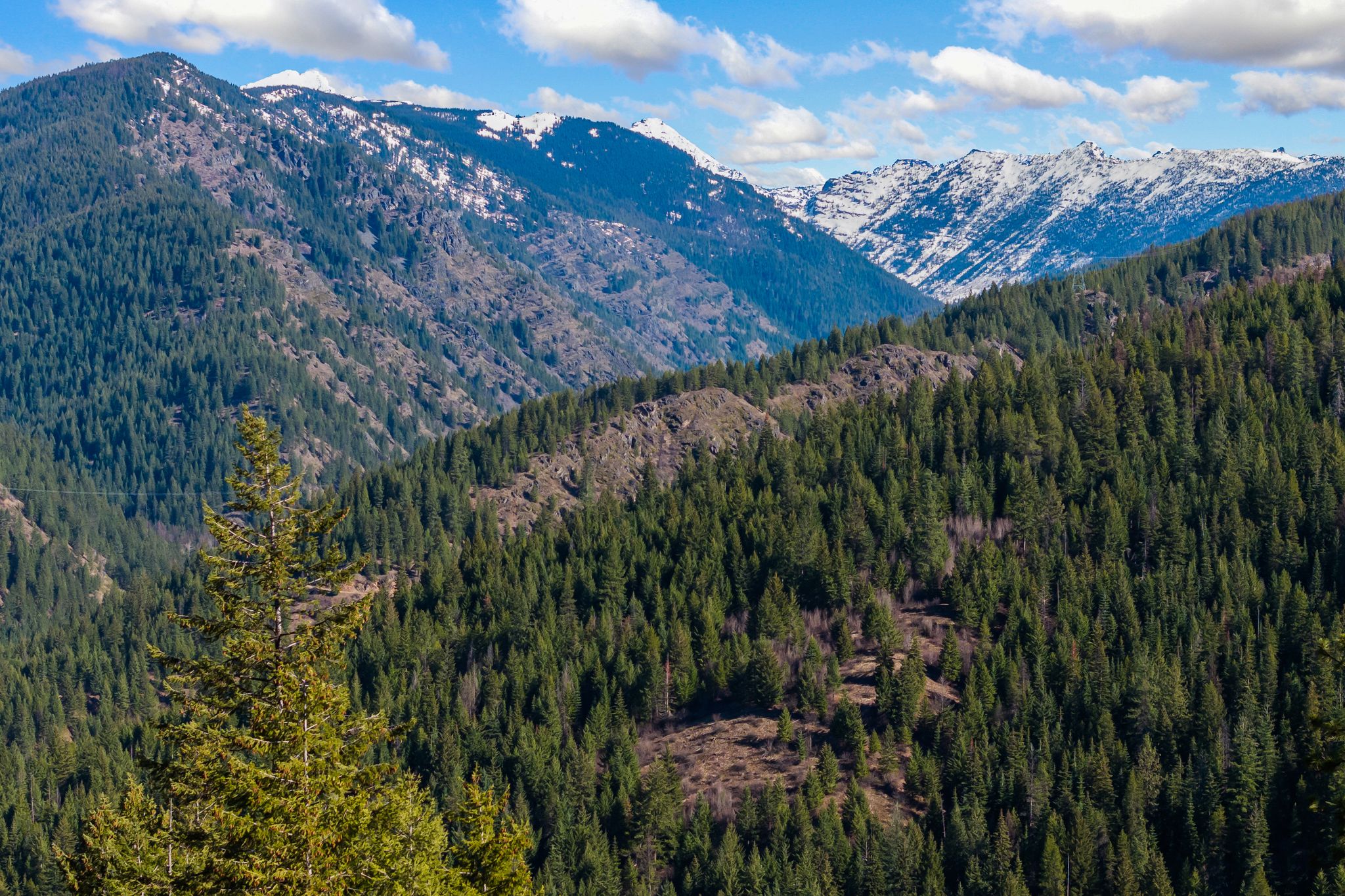  Custom Mountain Lodge with Unrivaled Montana Views - 物件實景
