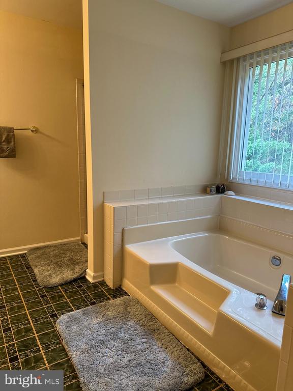 Stafford, Virginia, 22554, United States, 5 Bedrooms Bedrooms, ,3 BathroomsBathrooms,Residential,For Sale,1930374