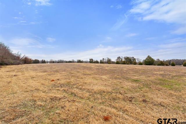 Van, Texas, 75790, United States, ,Land,For Sale,1981017