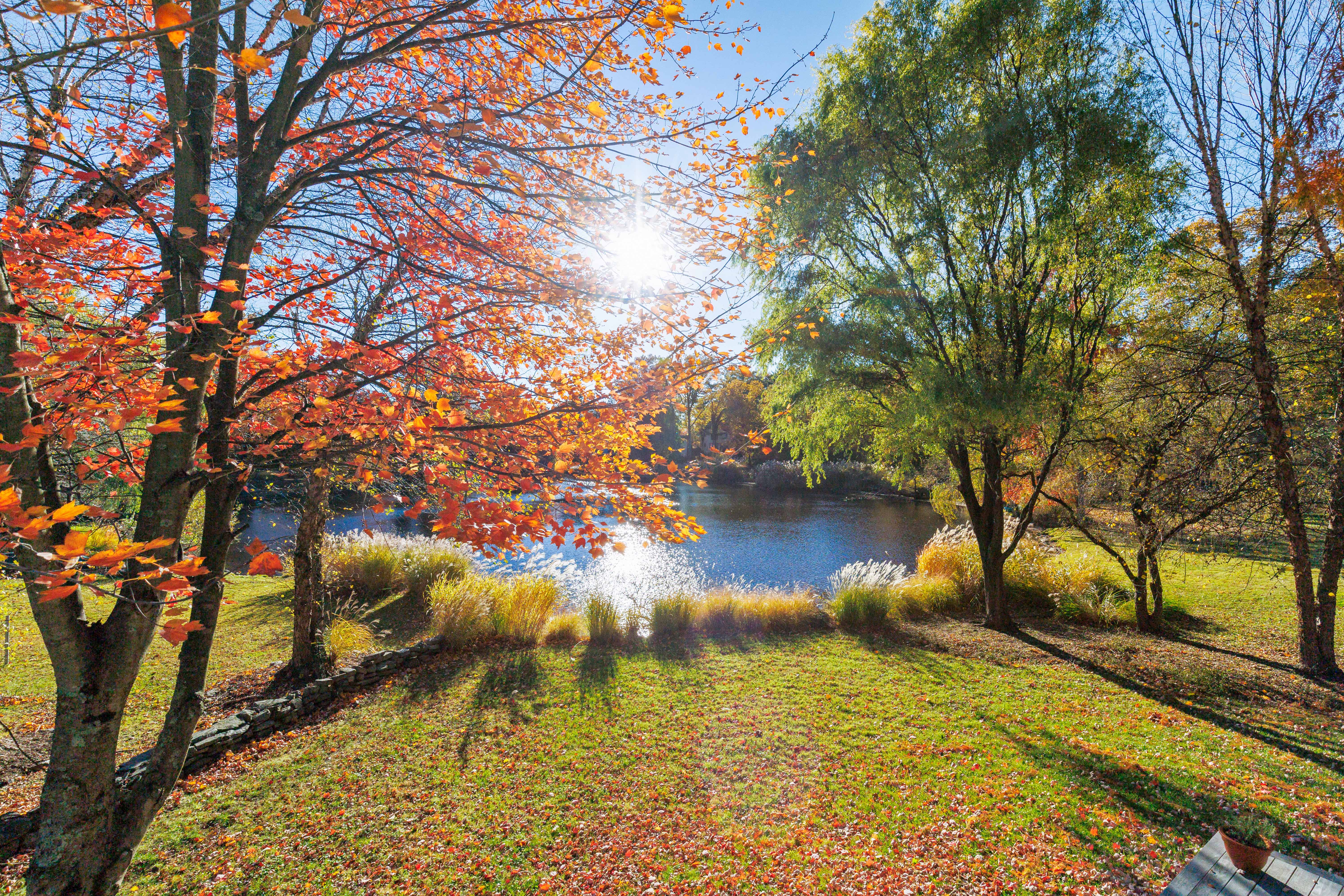  51 Whitetail Road - 物件實景