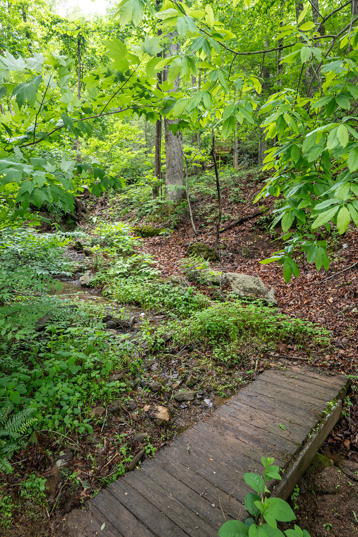  ASHEVILLE - 物件實景