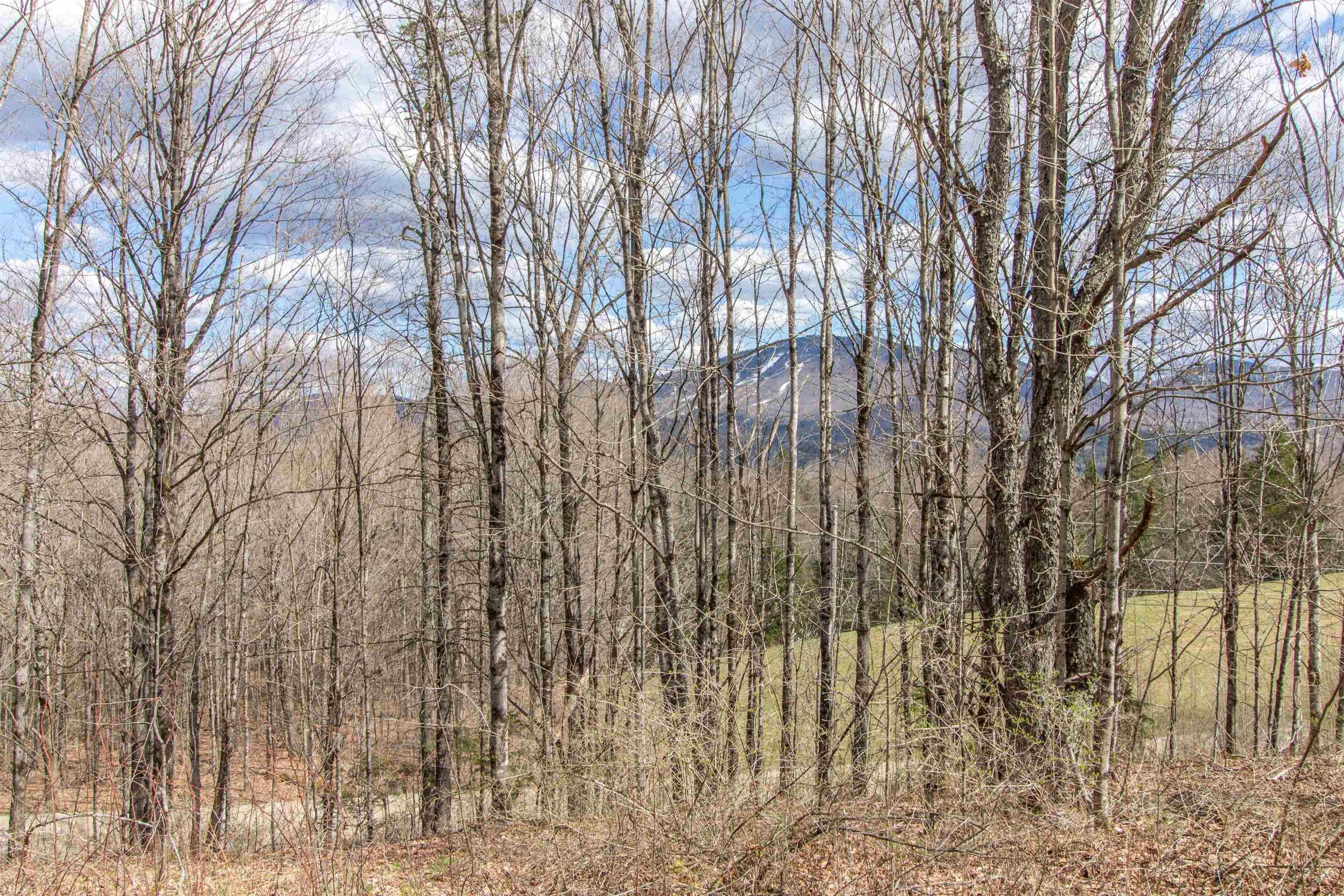 Burke, Vermont, 05832, United States, ,Land,For Sale,2041867