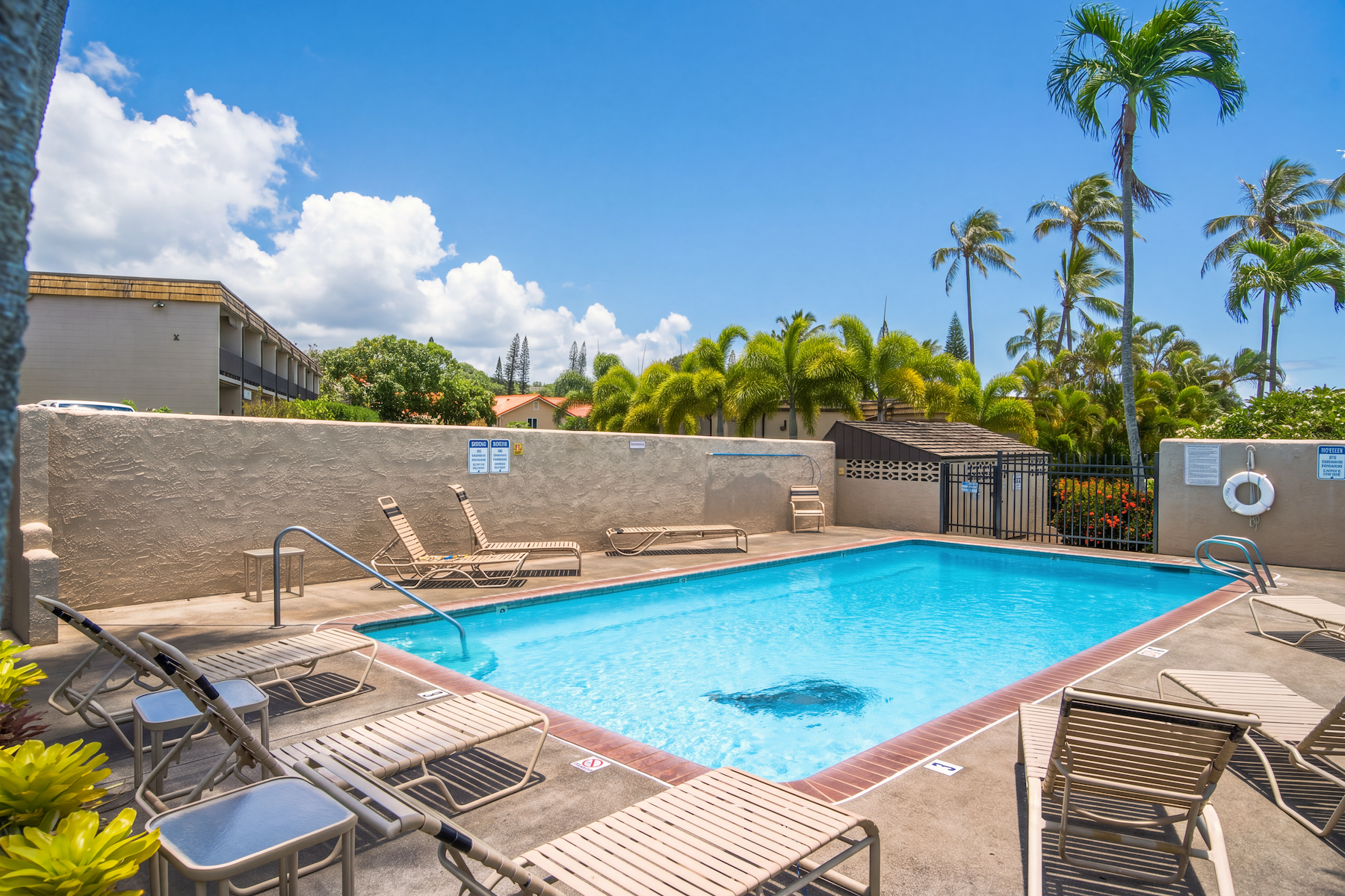  Remodeled Ground-Floor Condo, Just Steps from Napili Bay - 物件實景