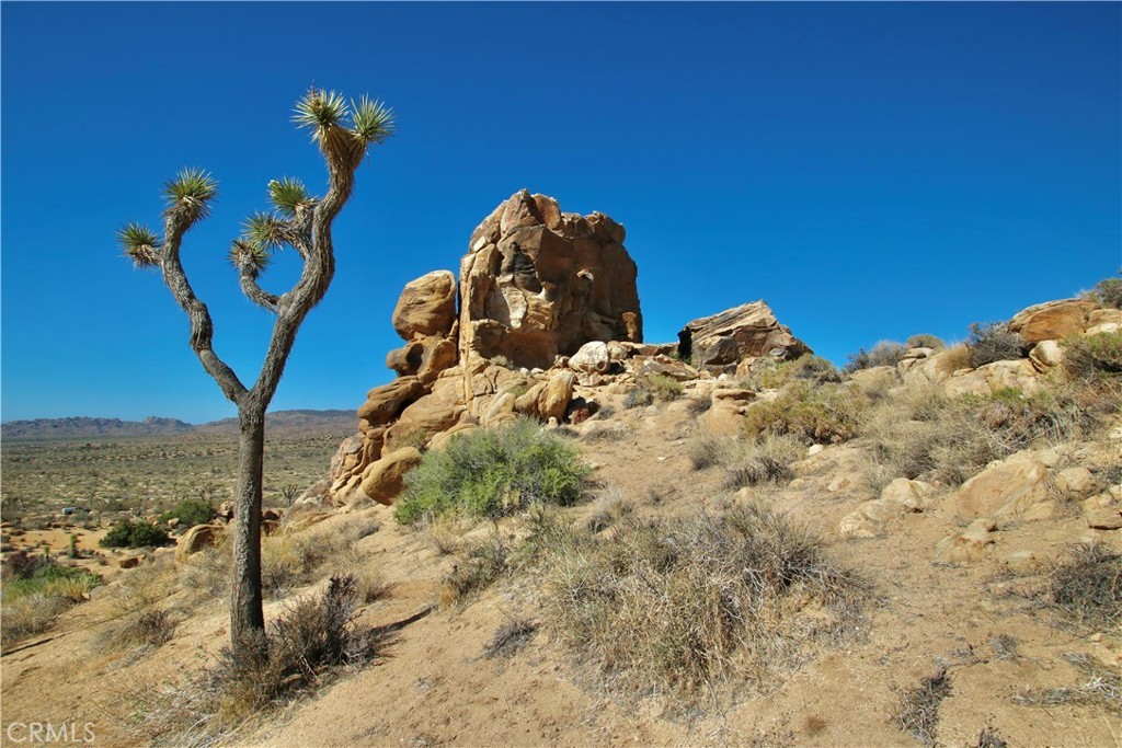 1 Gamma Gulch Rd Road, Pioneertown, California, 92268, United States, ,Land,For Sale,1 Gamma Gulch Rd Road,1434815