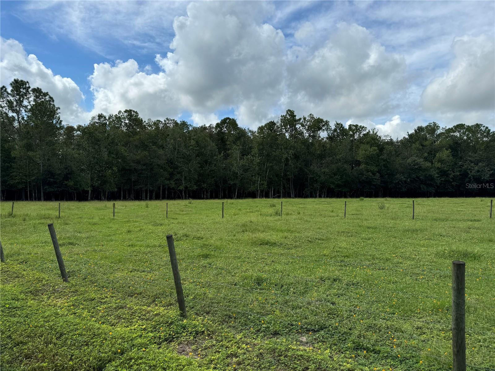 CLERMONT, Florida, 34714, United States, ,Land,For Sale,1982027