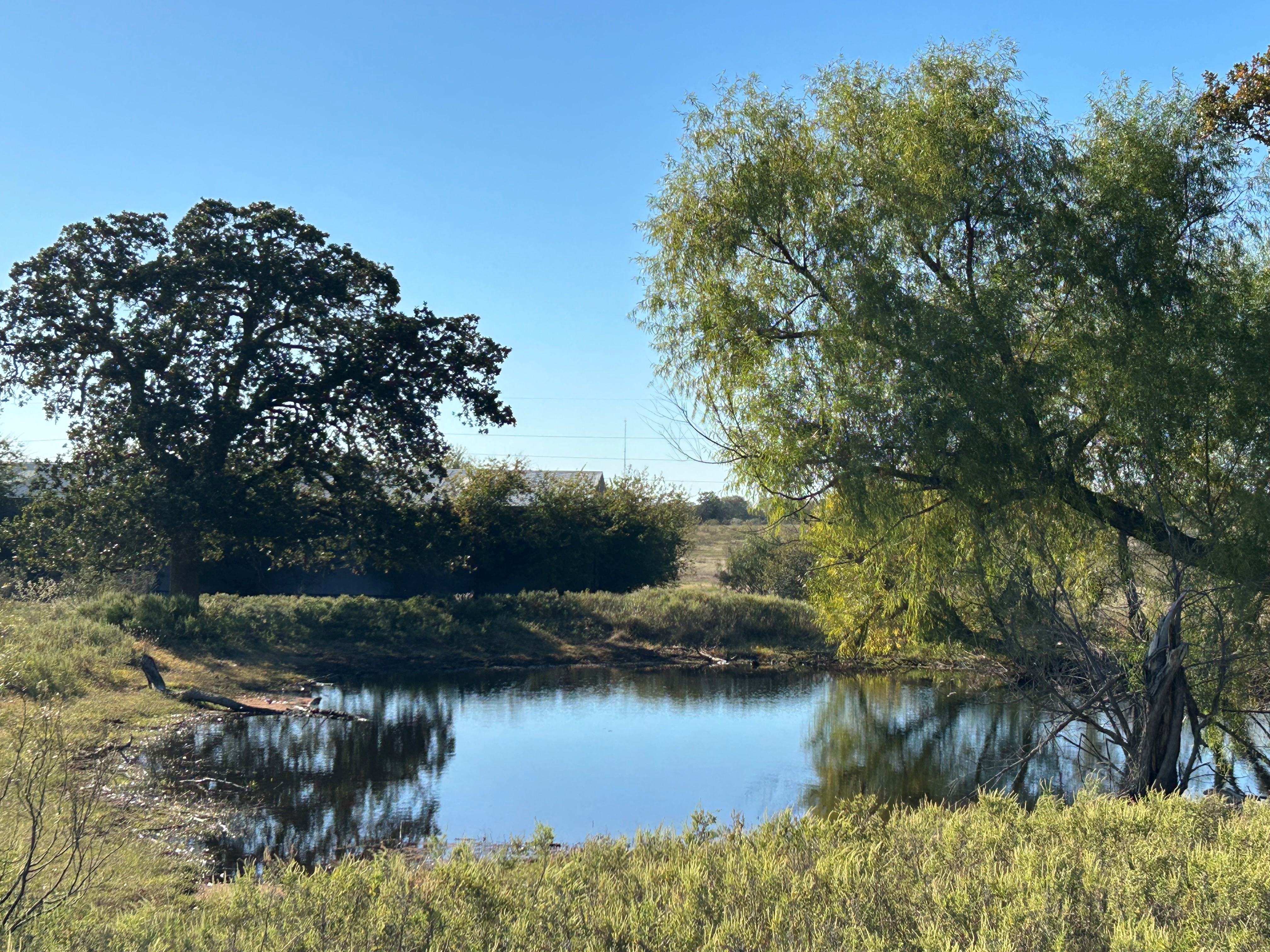 Bridgeport, Texas, 76426, United States, 3 Bedrooms Bedrooms, ,2 BathroomsBathrooms,Residential,For Sale,1992368