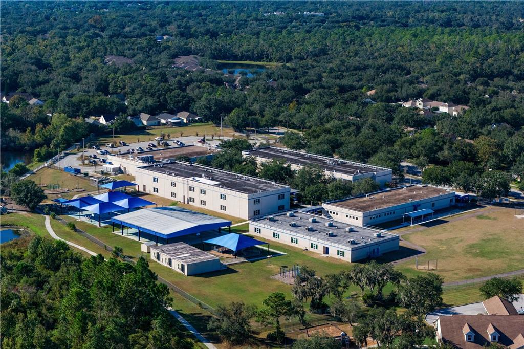 Lithia, Florida, 33547, United States, 5 Bedrooms Bedrooms, ,4 BathroomsBathrooms,Residential,For Sale,1997364