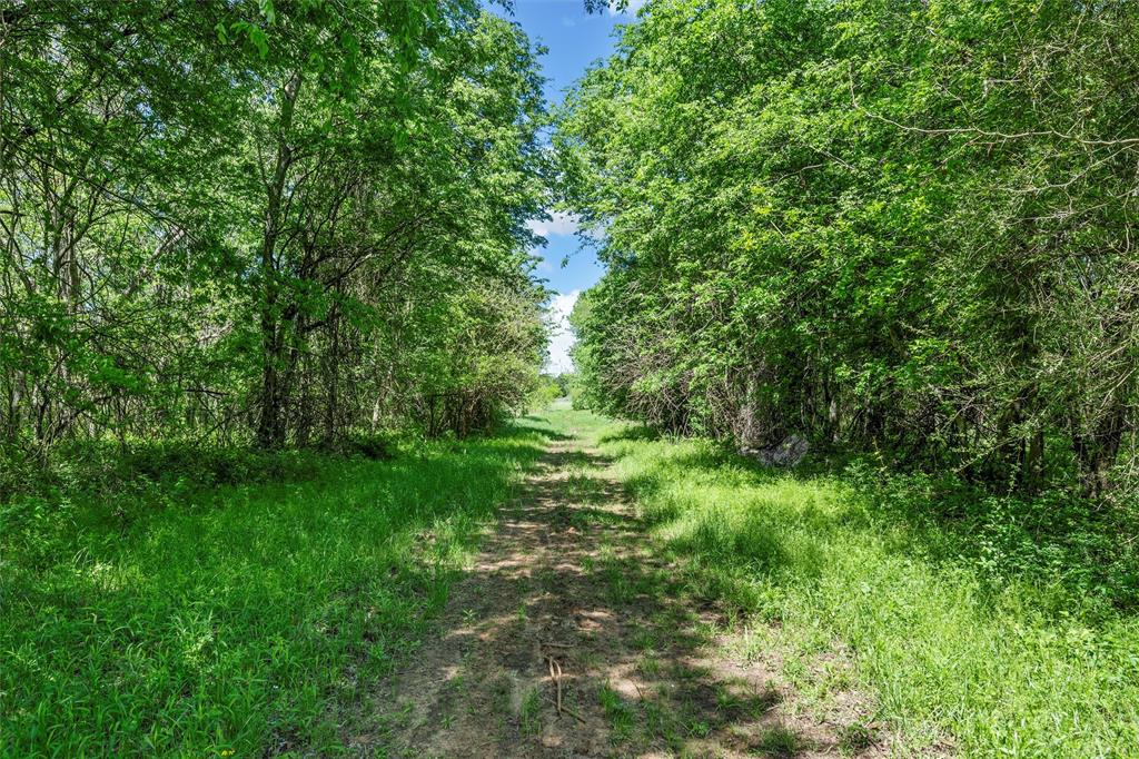 Mexia, Texas, 76667, United States, 3 Bedrooms Bedrooms, ,2 BathroomsBathrooms,Residential,For Sale,1770816