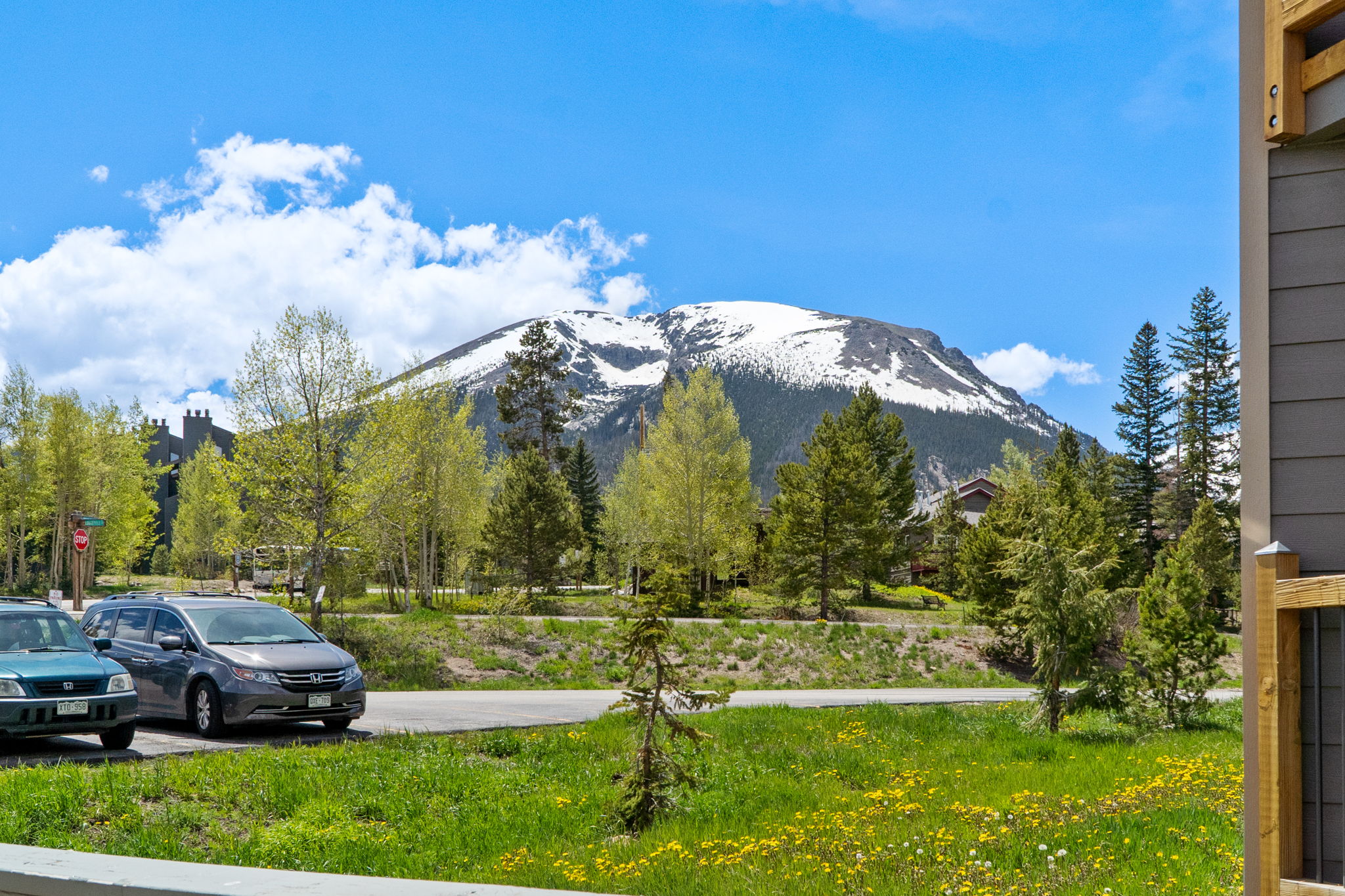  8100 Ryan Gulch Road, Wildernest, CO, 80498 - 物件實景