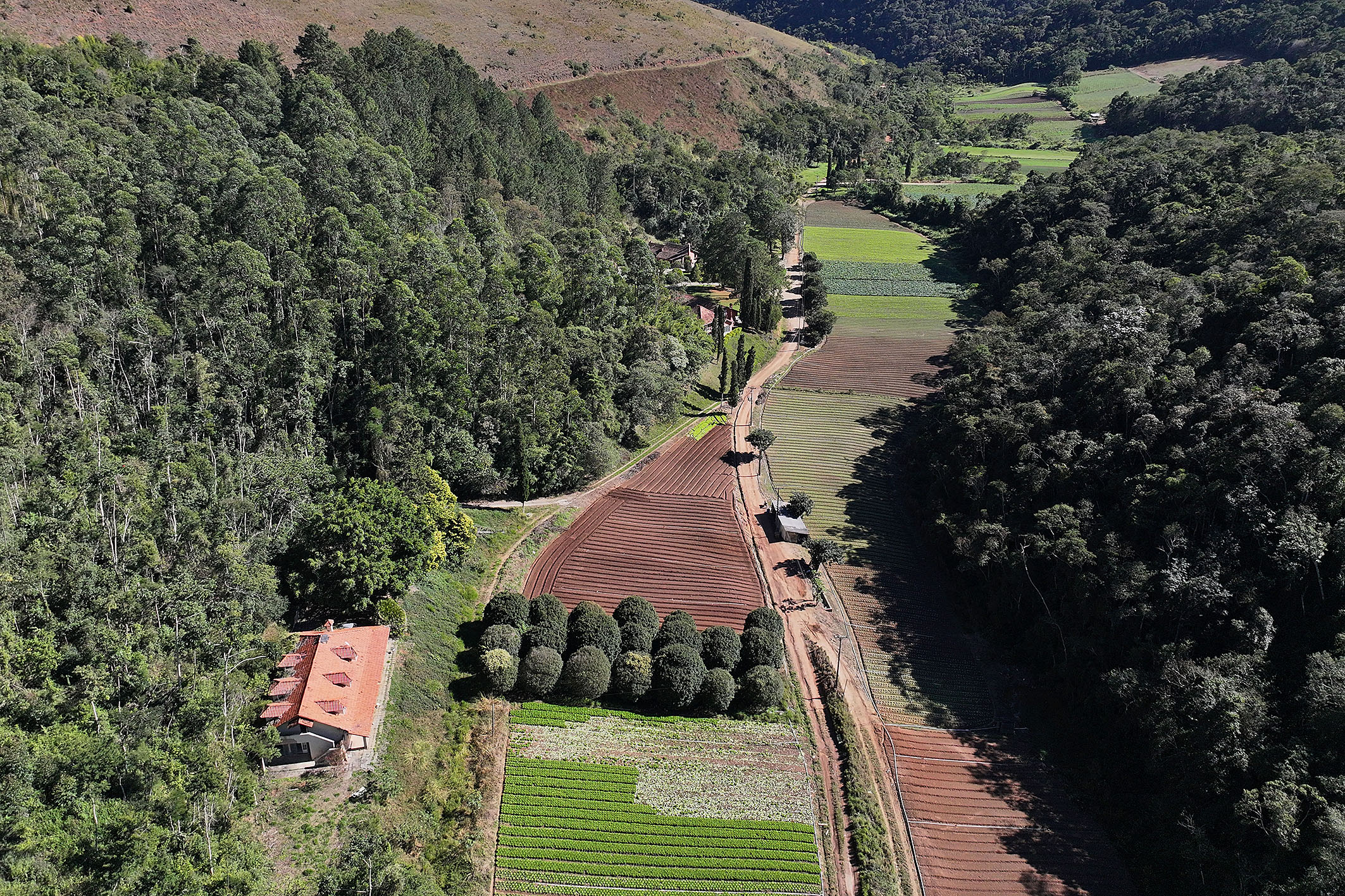  Productive estate spanning 865 acres in the mountains of Teresópolis - 物件實景