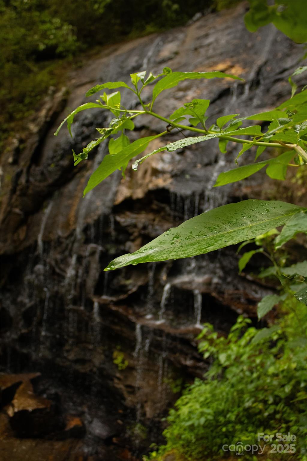 Union Mills, North Carolina, 28167, United States, ,Residential,For Sale,1942786