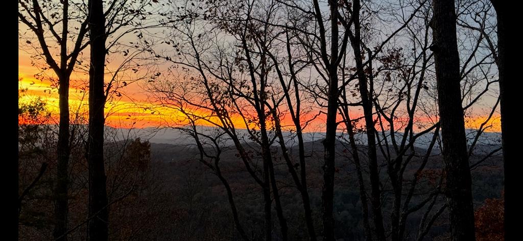 Mineral Bluff, Georgia, 30559, United States, 3 Bedrooms Bedrooms, ,3 BathroomsBathrooms,Residential,For Sale,2006593