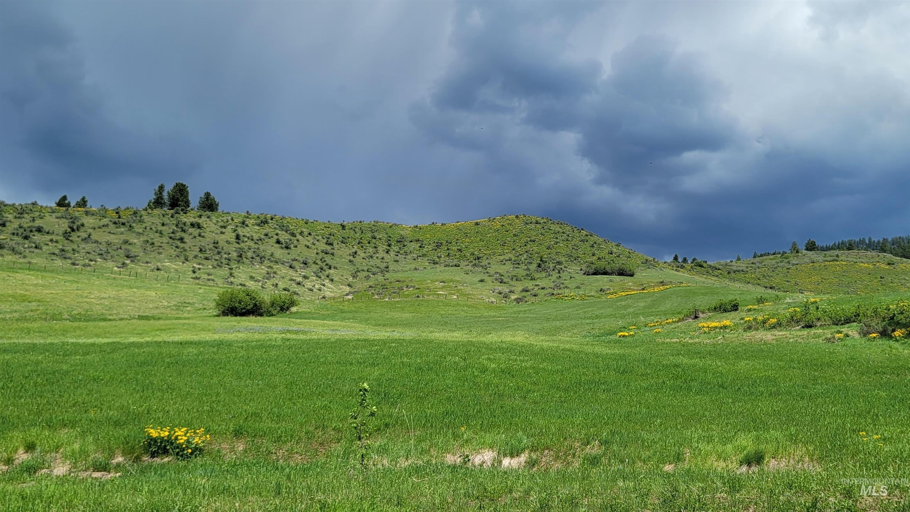 Council, Idaho, 83612, United States, 3 Bedrooms Bedrooms, ,2 BathroomsBathrooms,Residential,For Sale,1974827